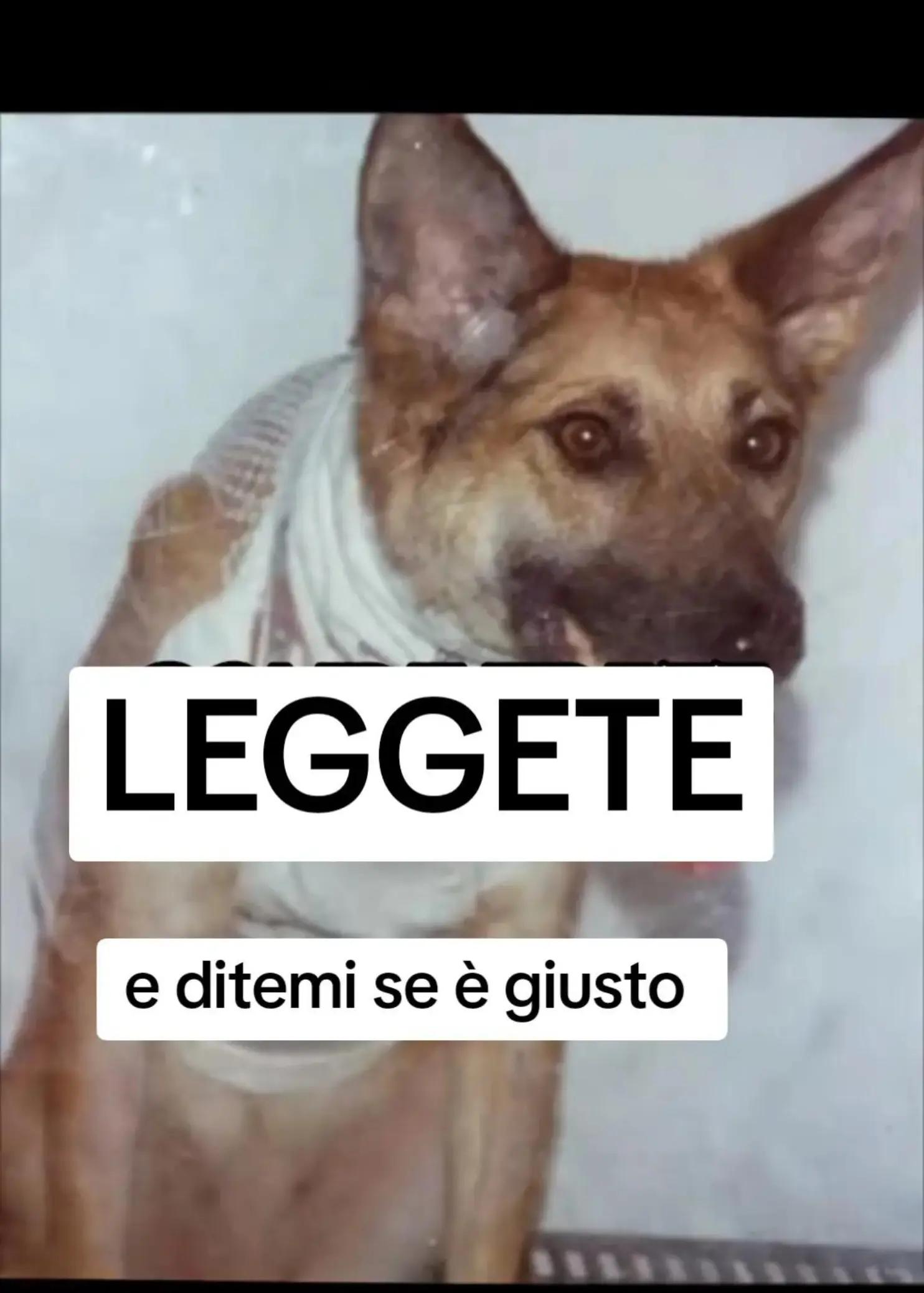 @Eleonora