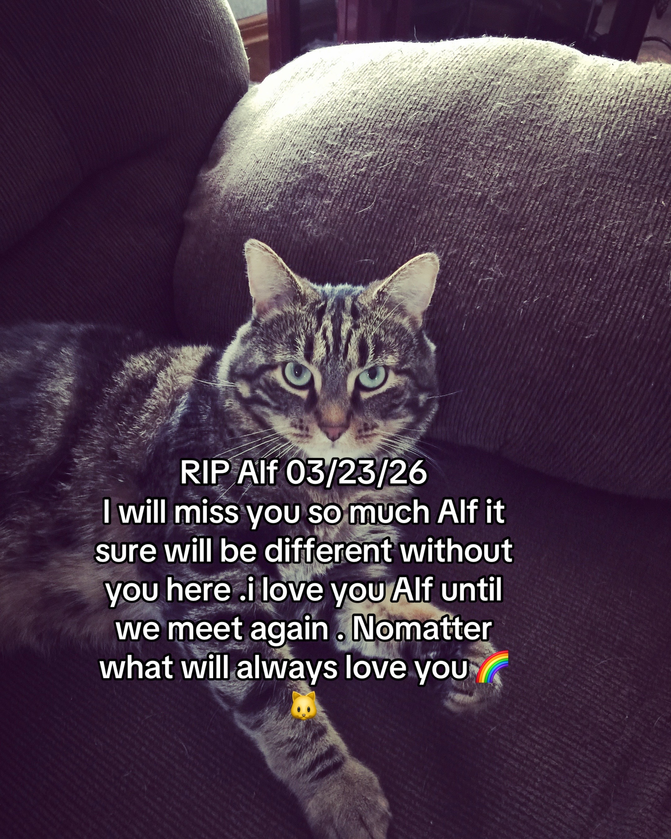 @SweetHeartBear27