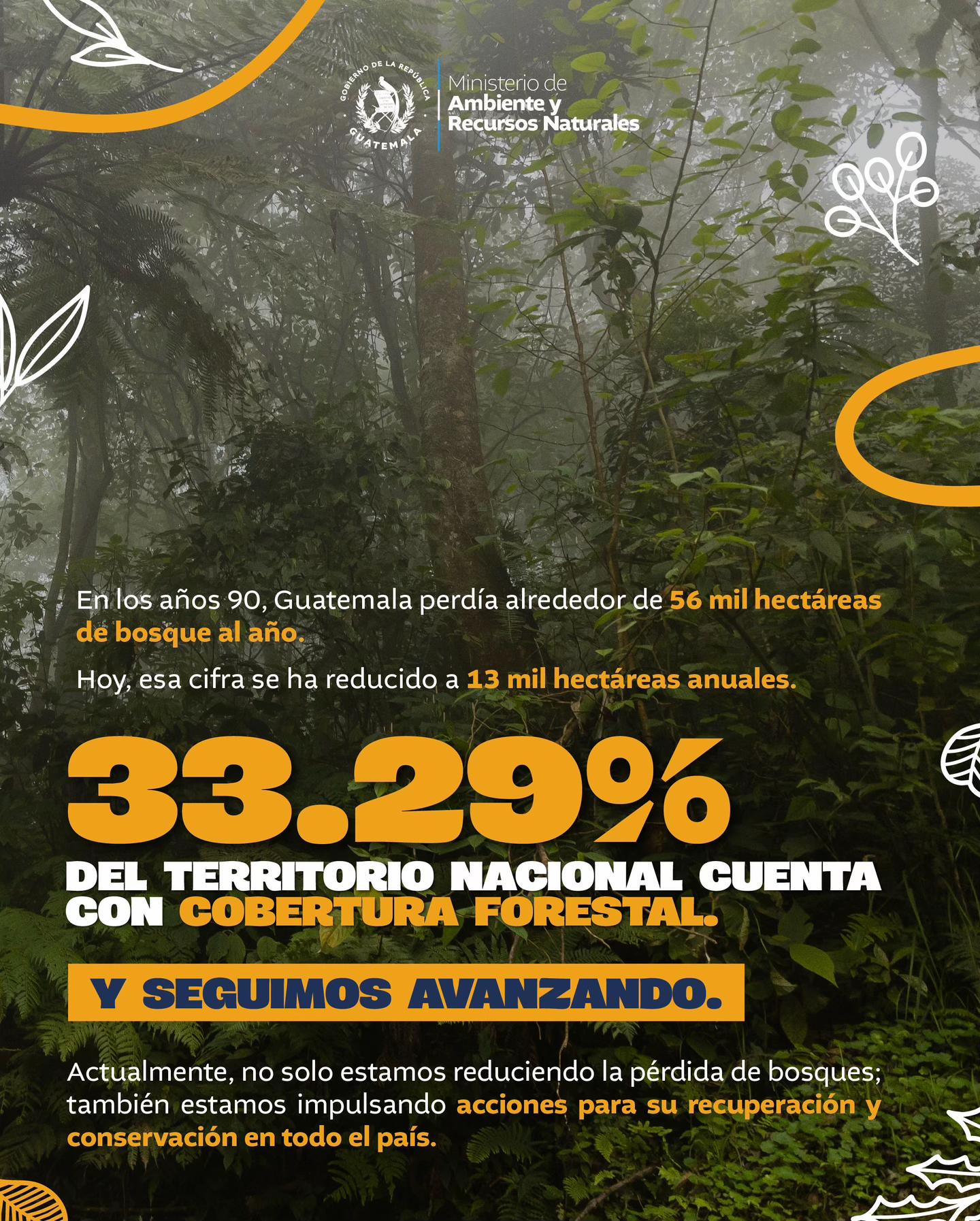 @Ministerio de Ambiente GT