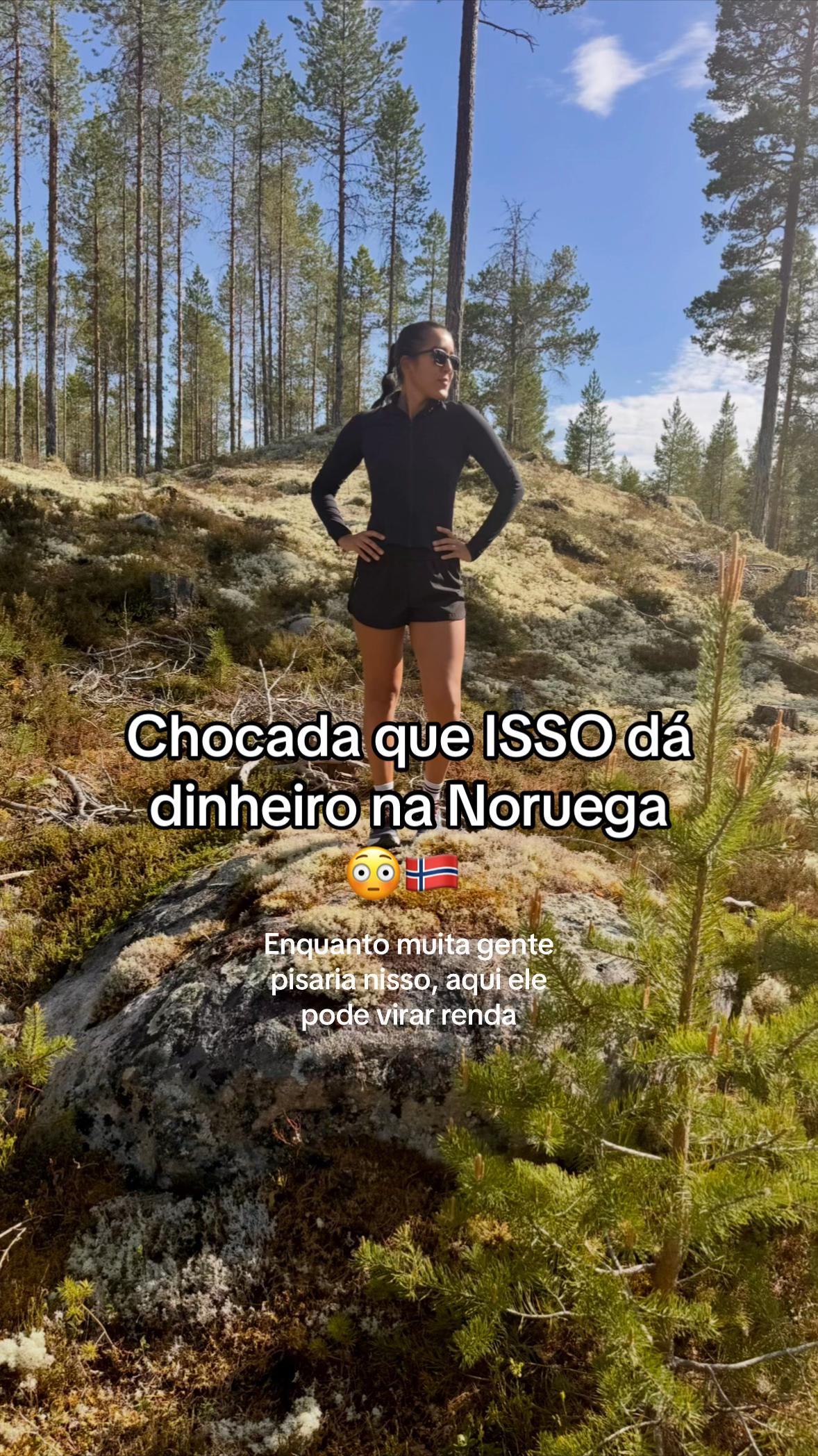 @Caroline Rezende