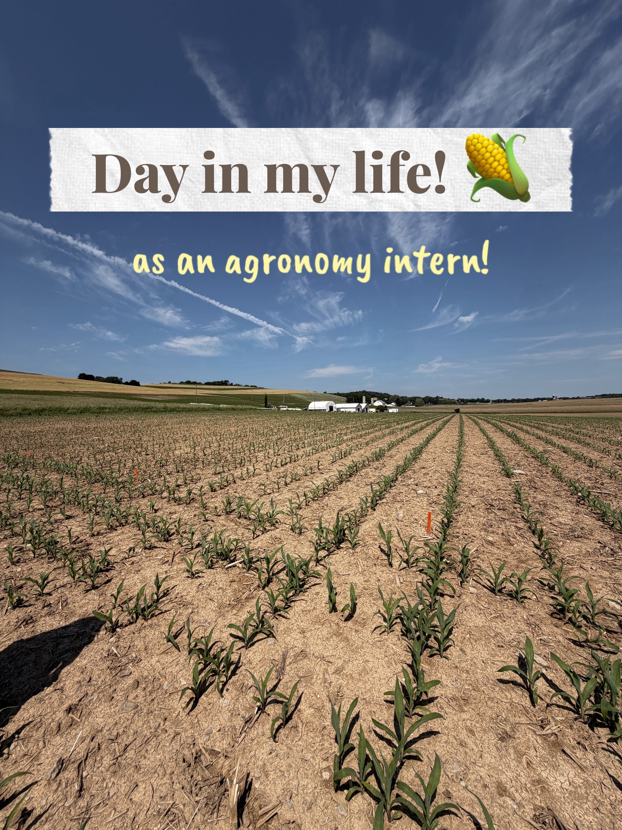 @JENNA 🌽