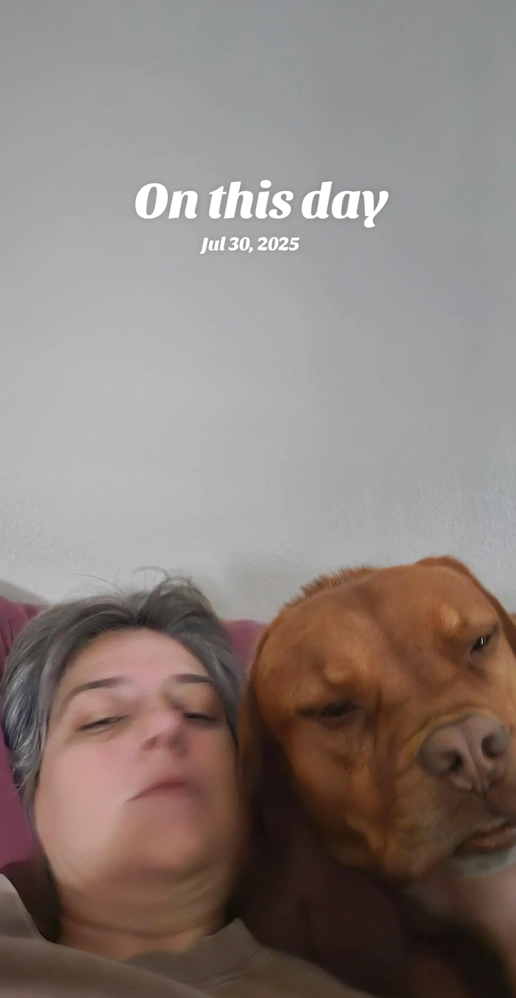 @perpetuallyangrycactai