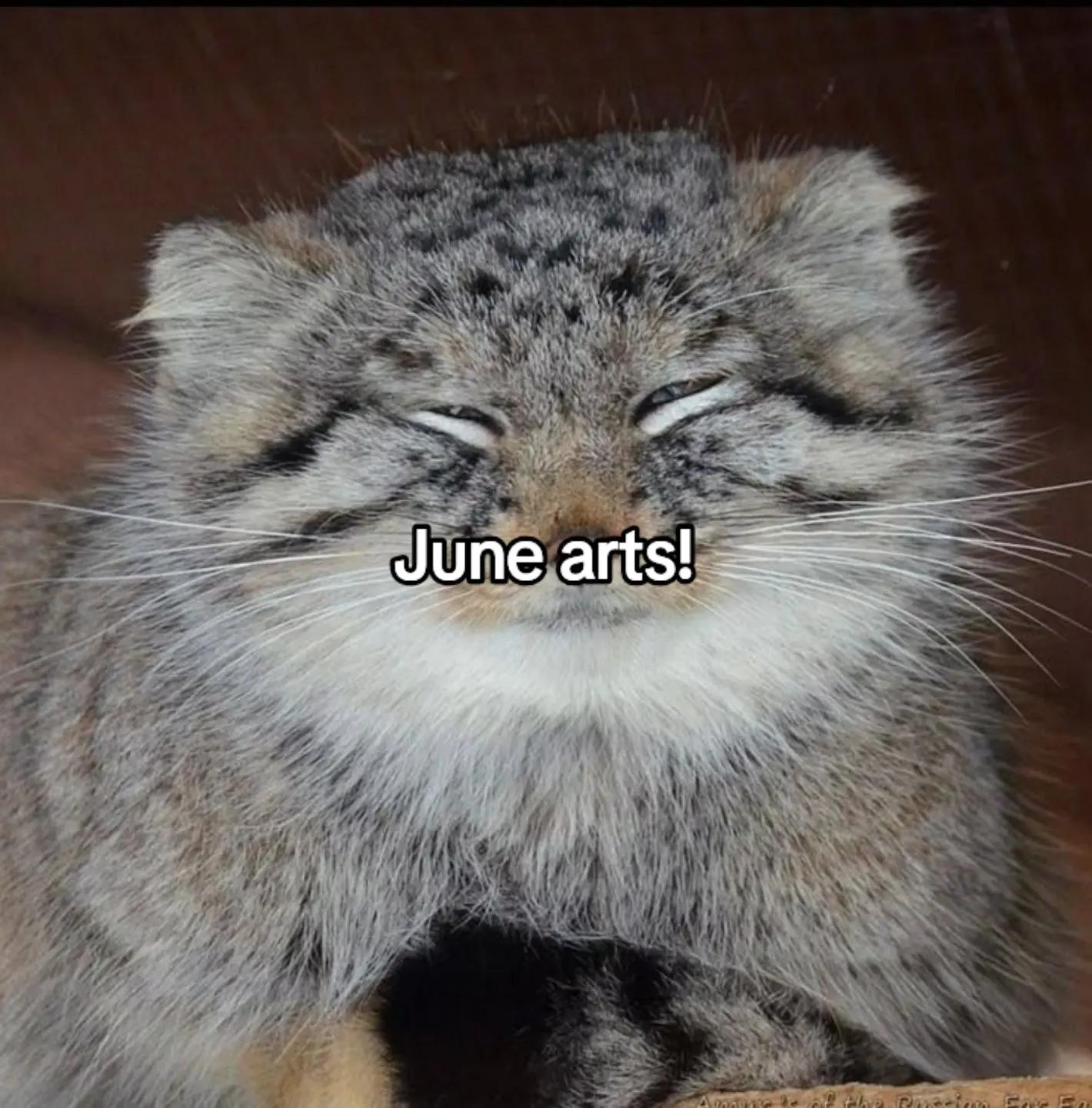 @puffball