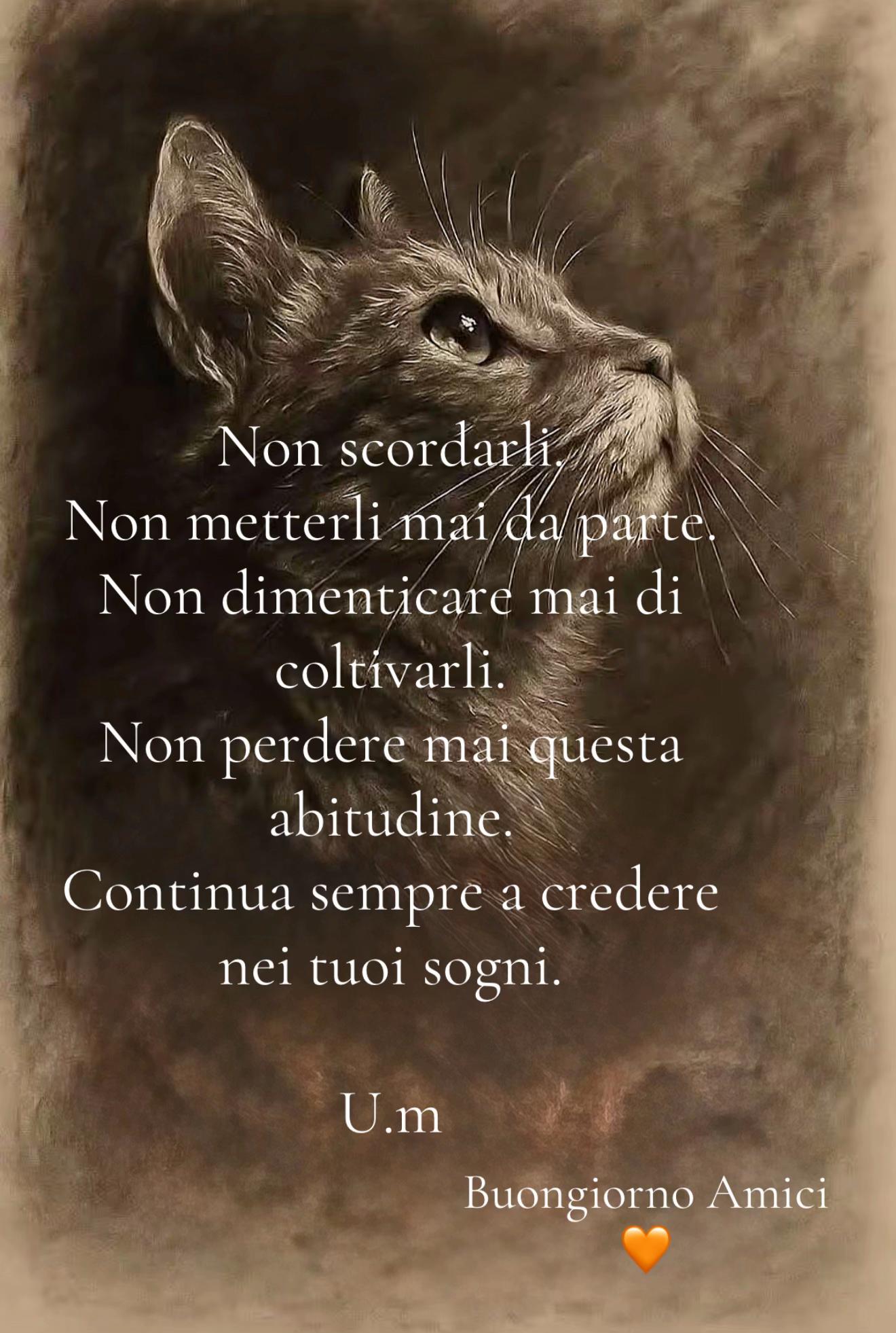 @UmbertoANC
