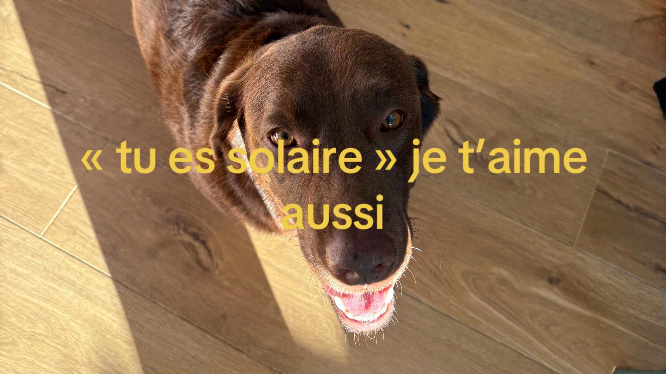 @user.rezespam