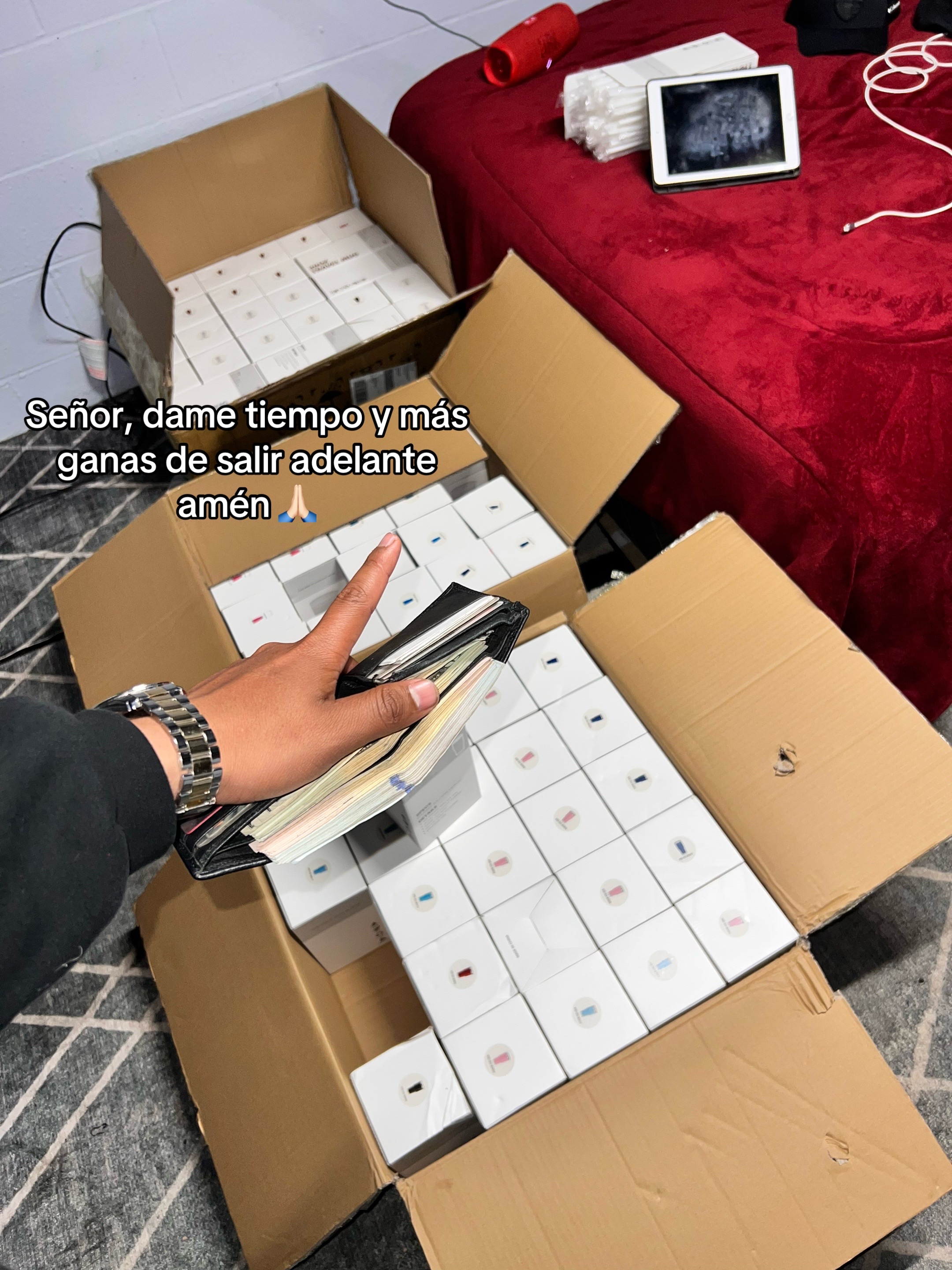 @César NF