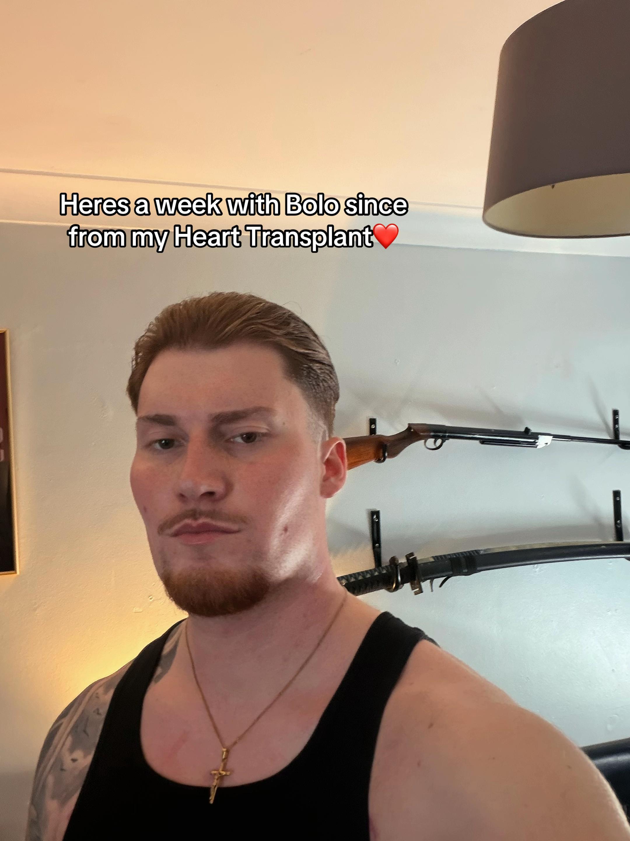 @Bolo