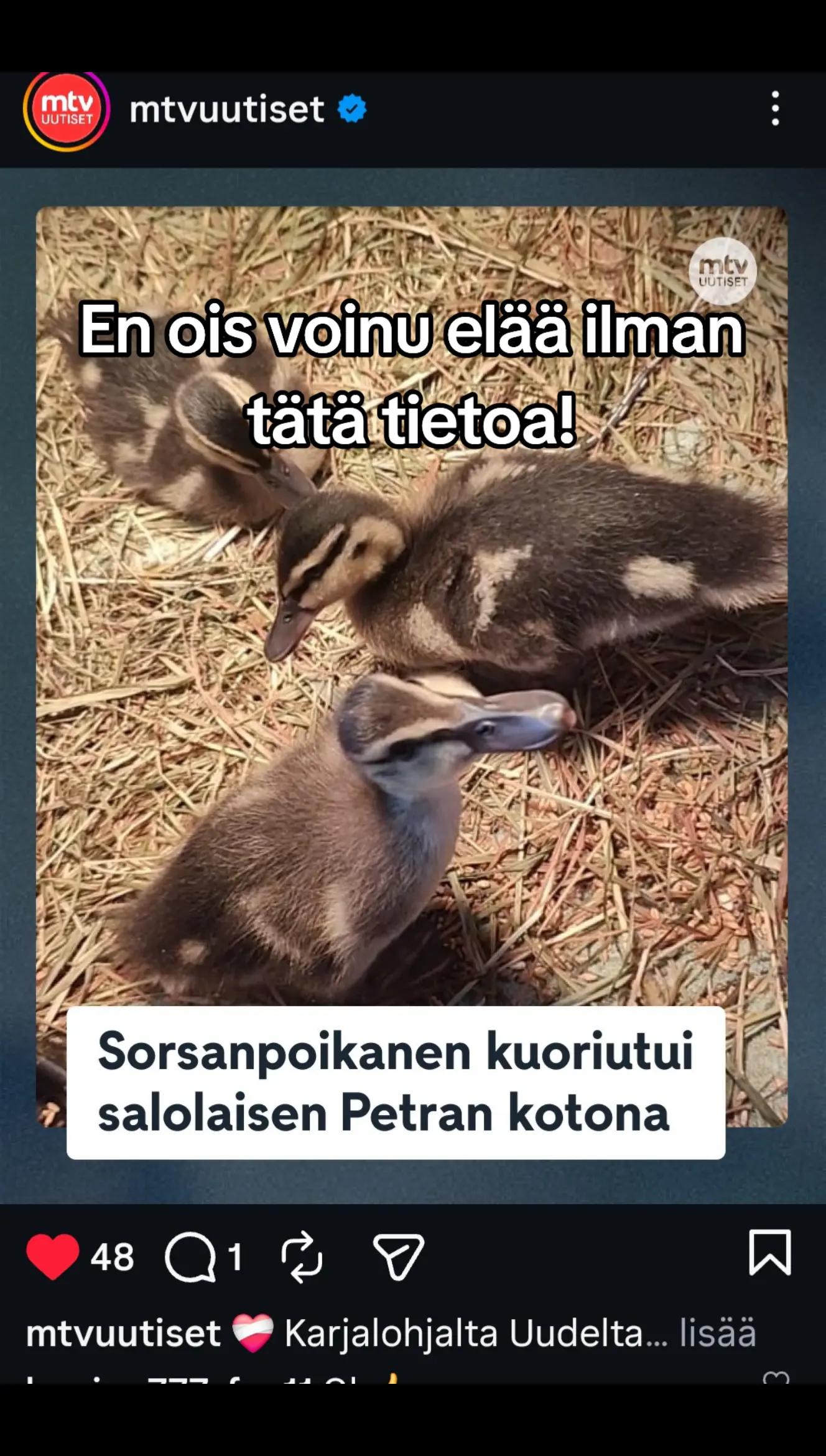 @Camper N🇫🇮