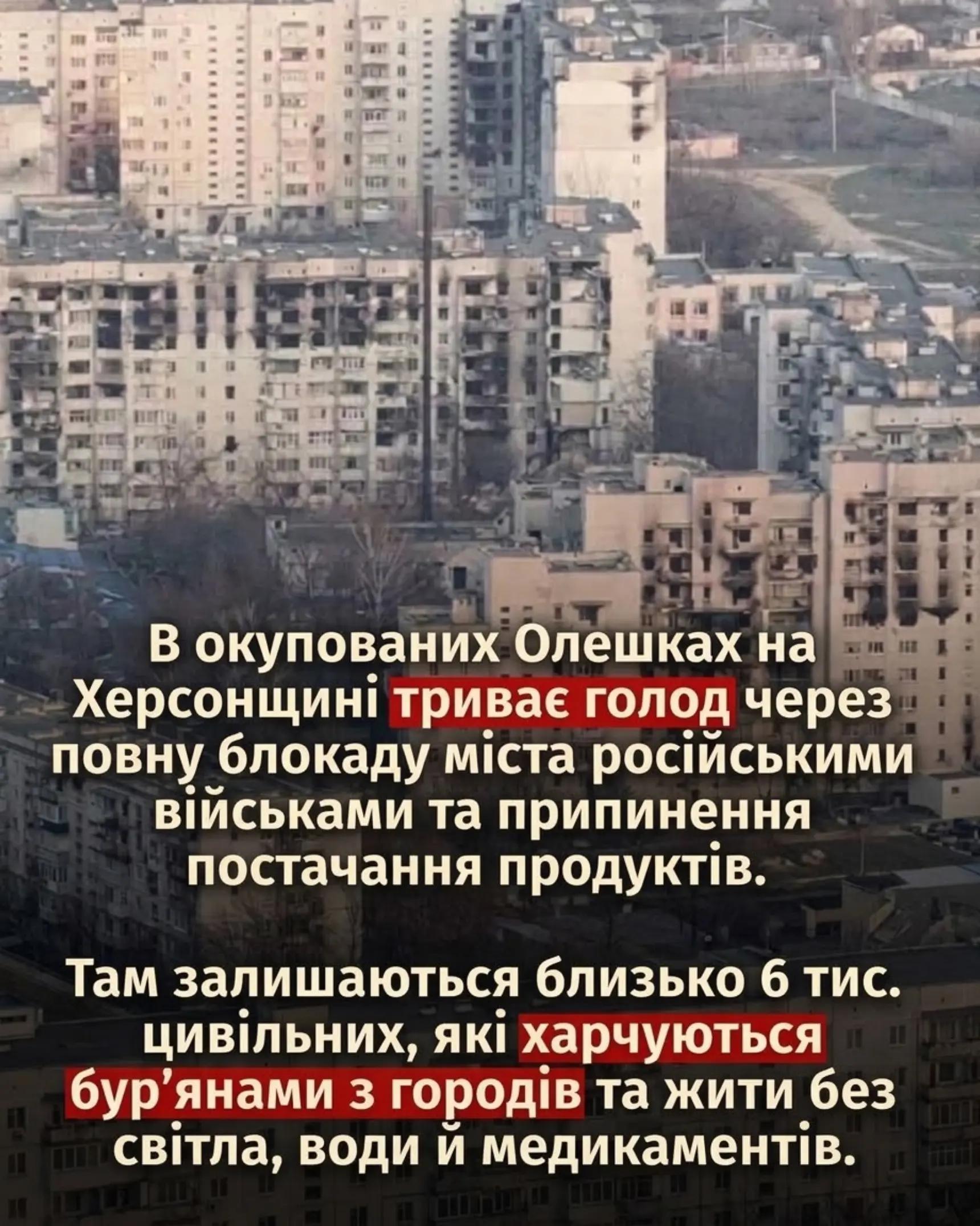 @Киця Бабина