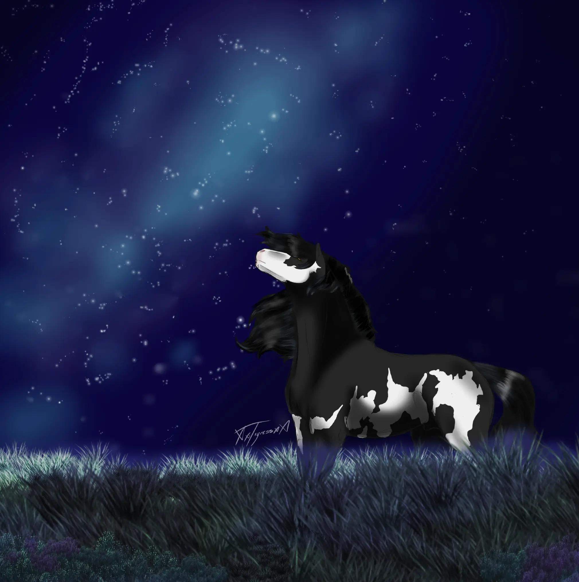 @🌌🖤Tigress Nightstone🖤🌌