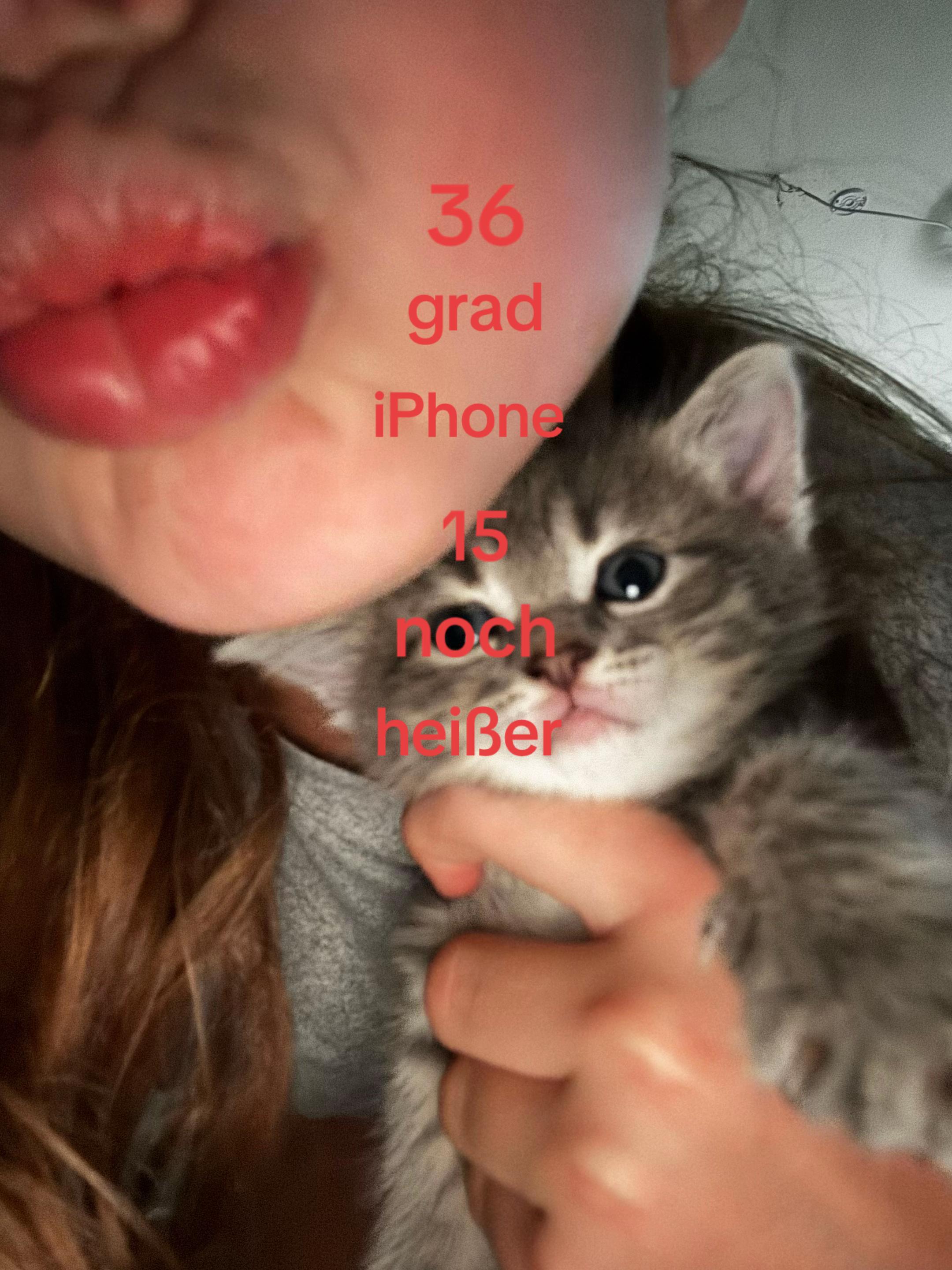 @secret_lilli_