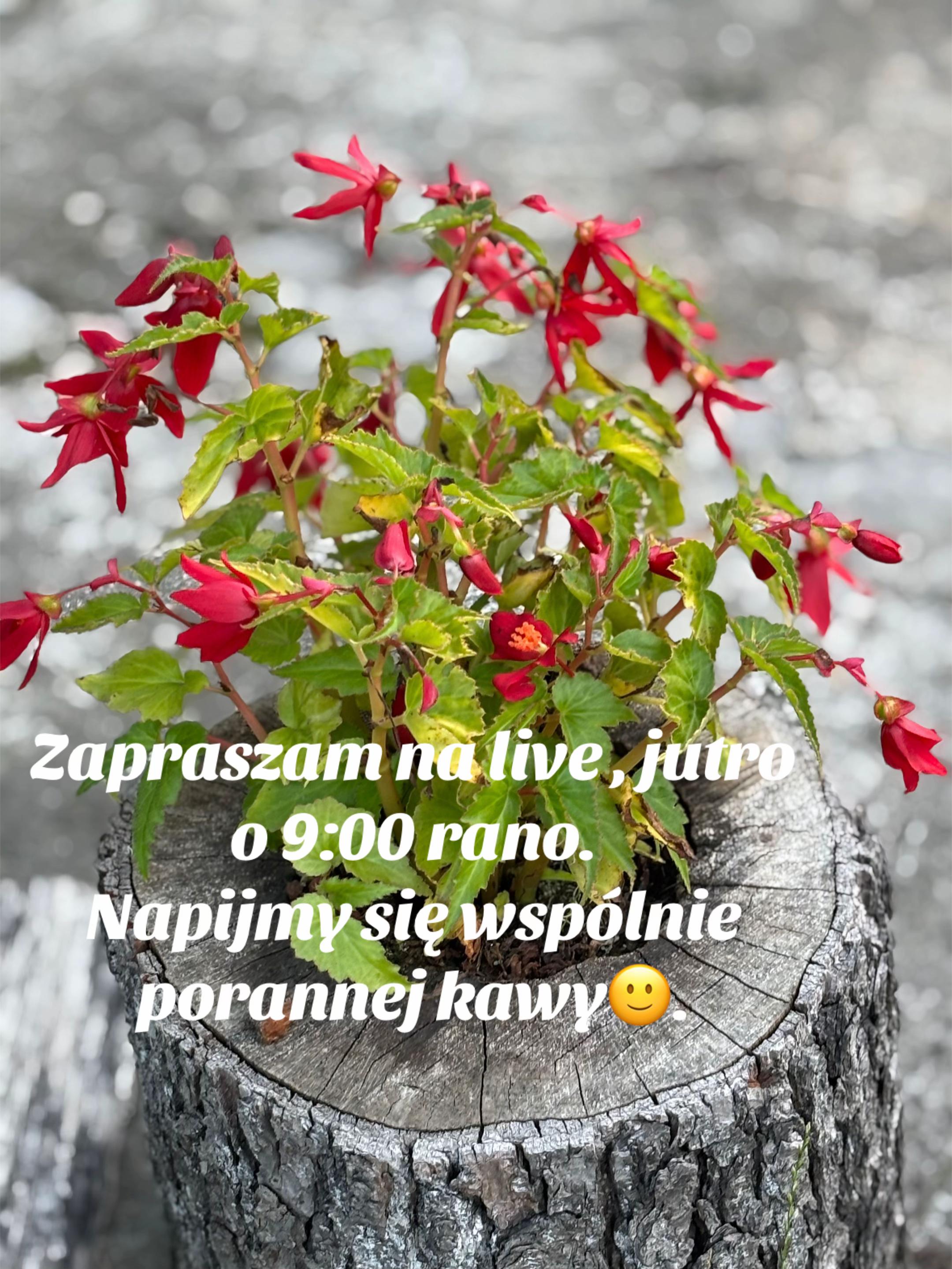 @Odnaleźć siebie