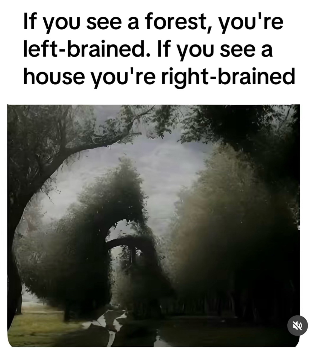 @cantrellsthe
