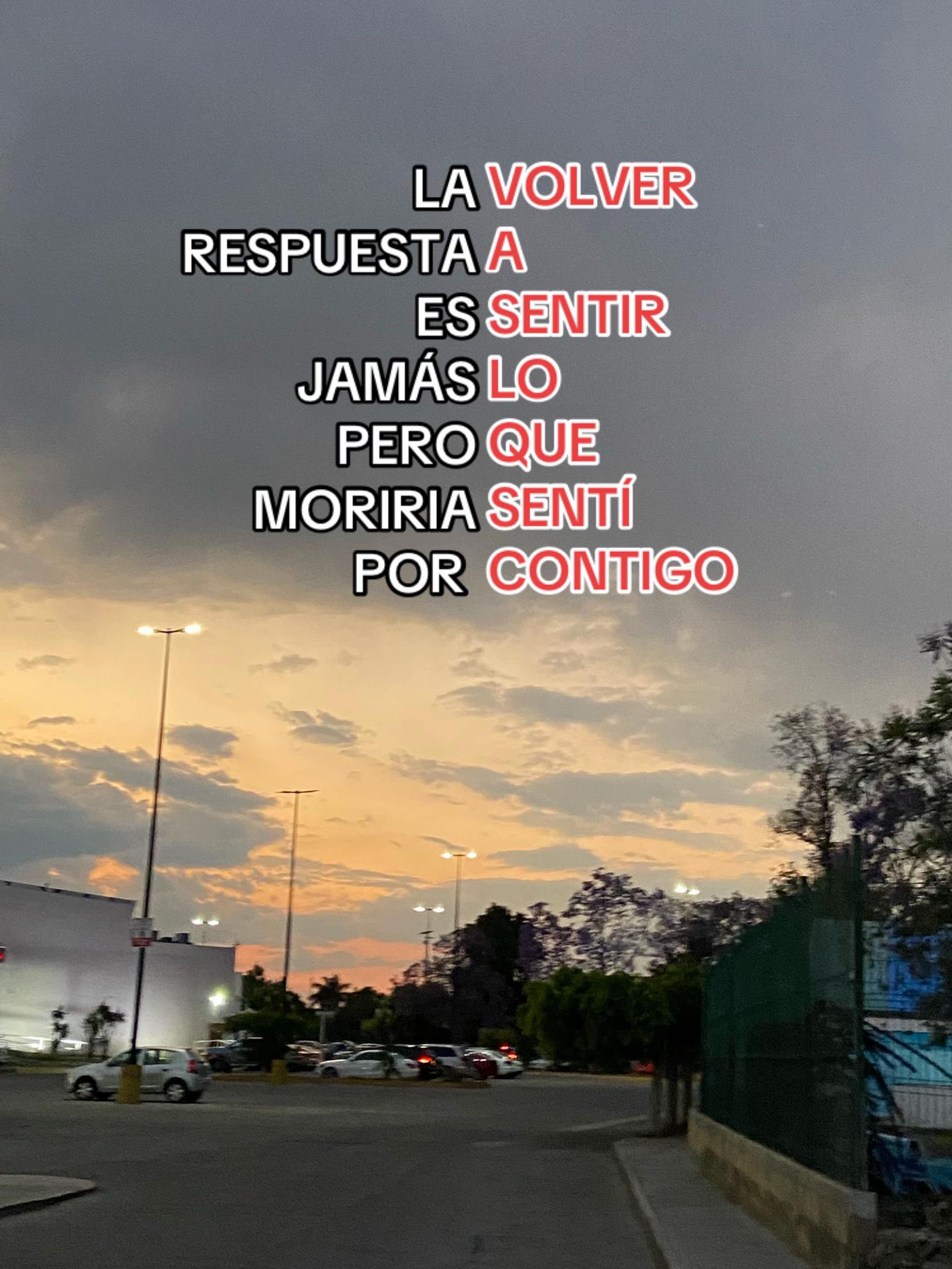 @Maria José Merino
