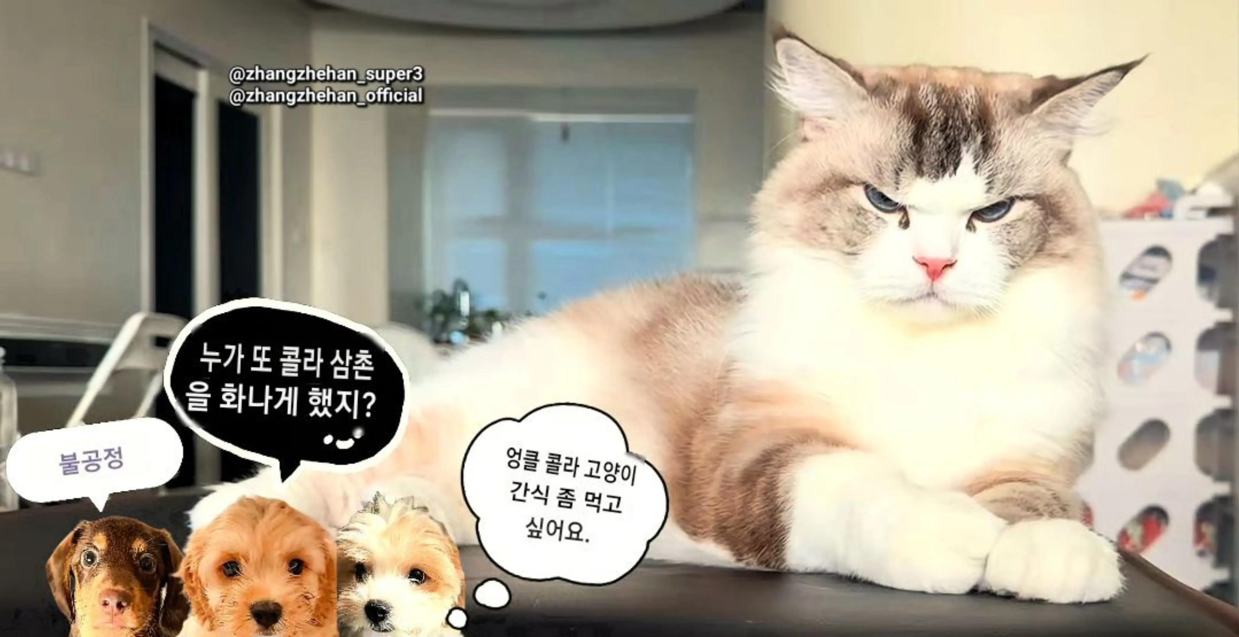 @๐ชผๅผ ๅฒ็โค๏ธ้ฉๅฝๆตทๅฒ๐ชผ