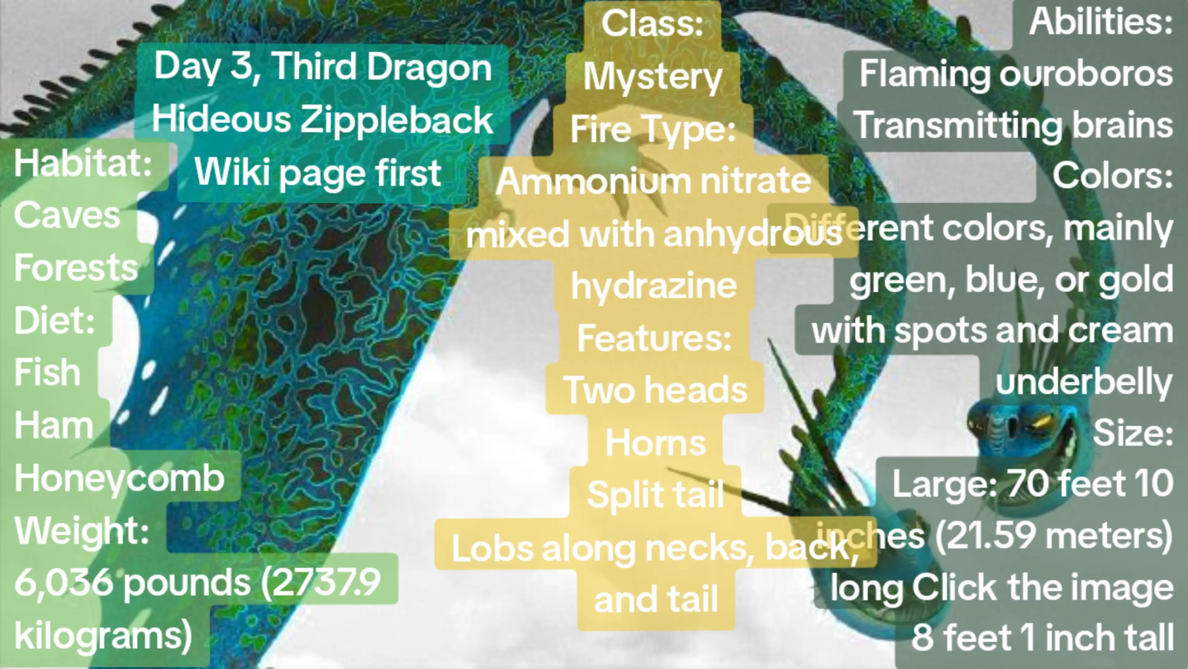 @Dragon Minecrafter
