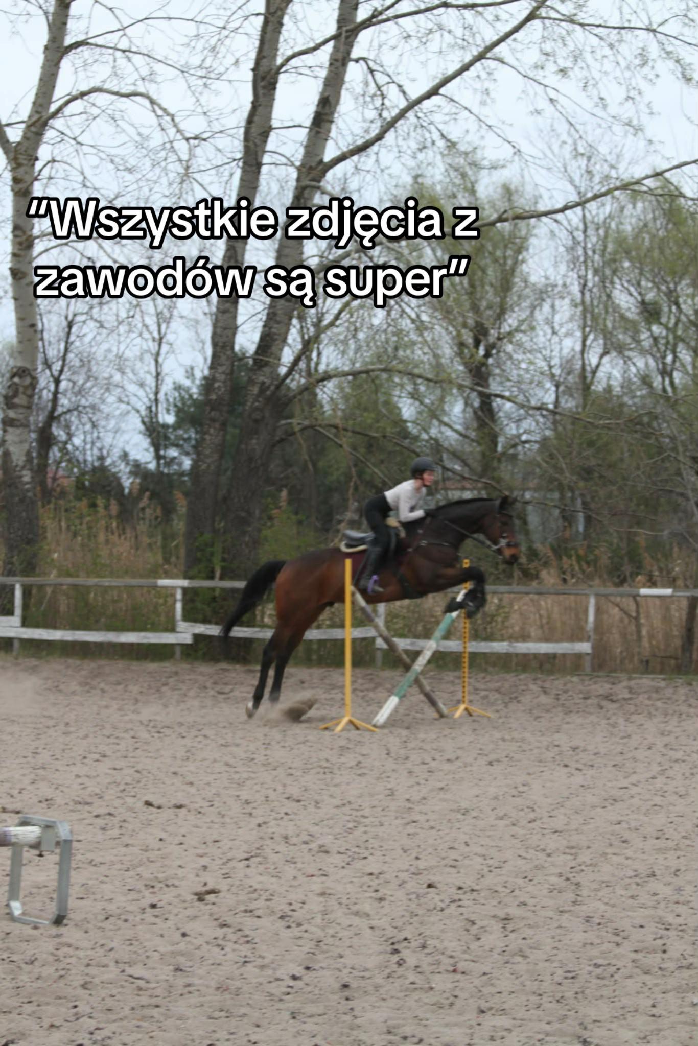 @zofka_eq