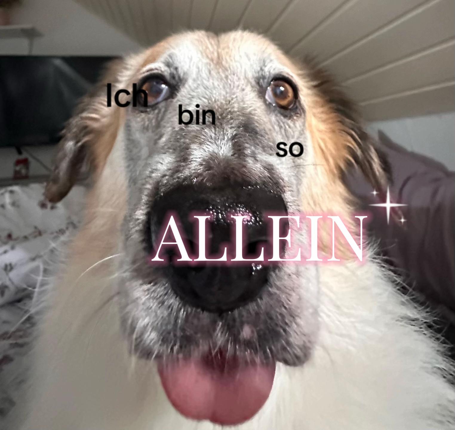 @Mimi