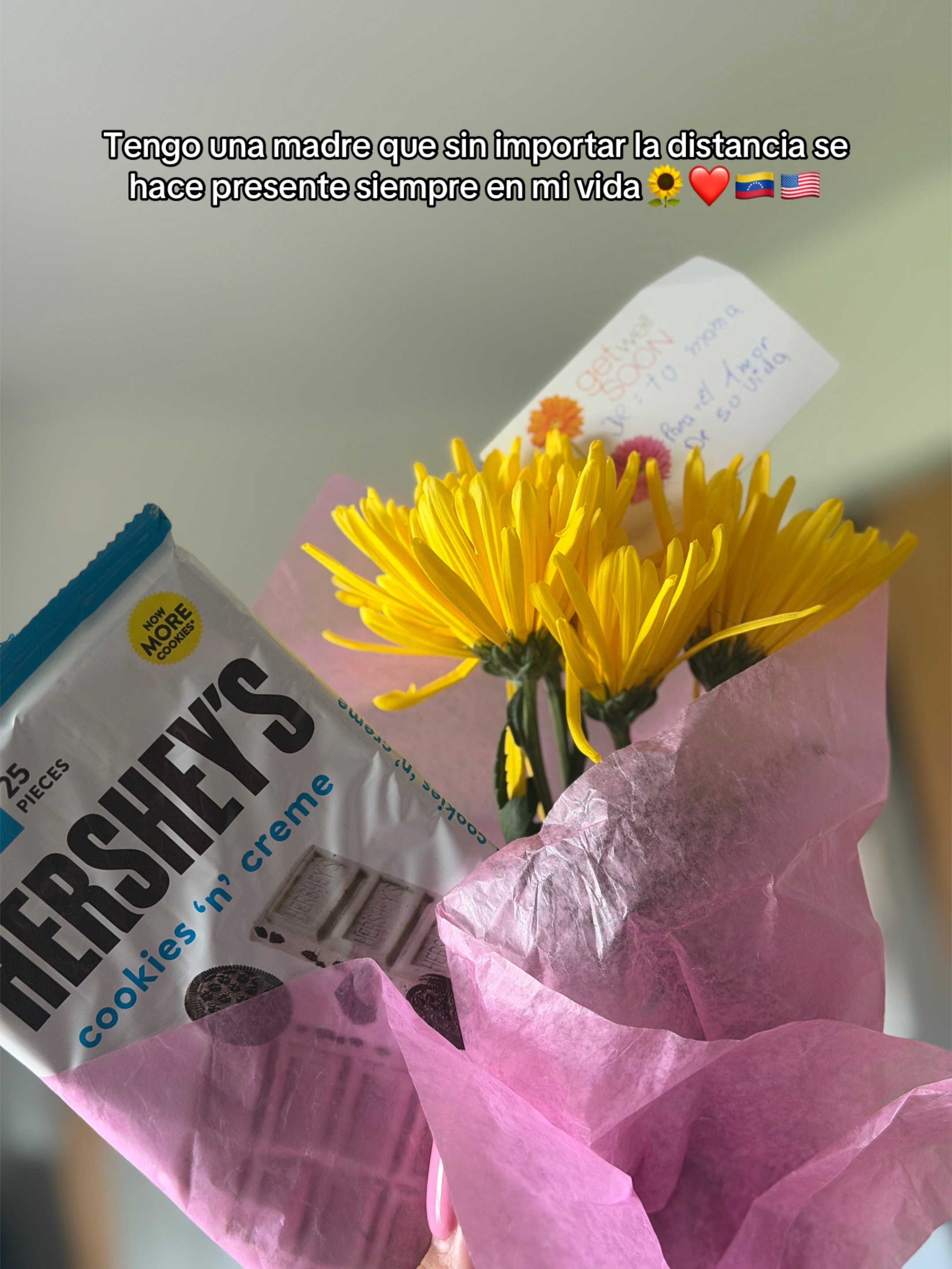 @Carlenys Ramos👩🏻💻🌷
