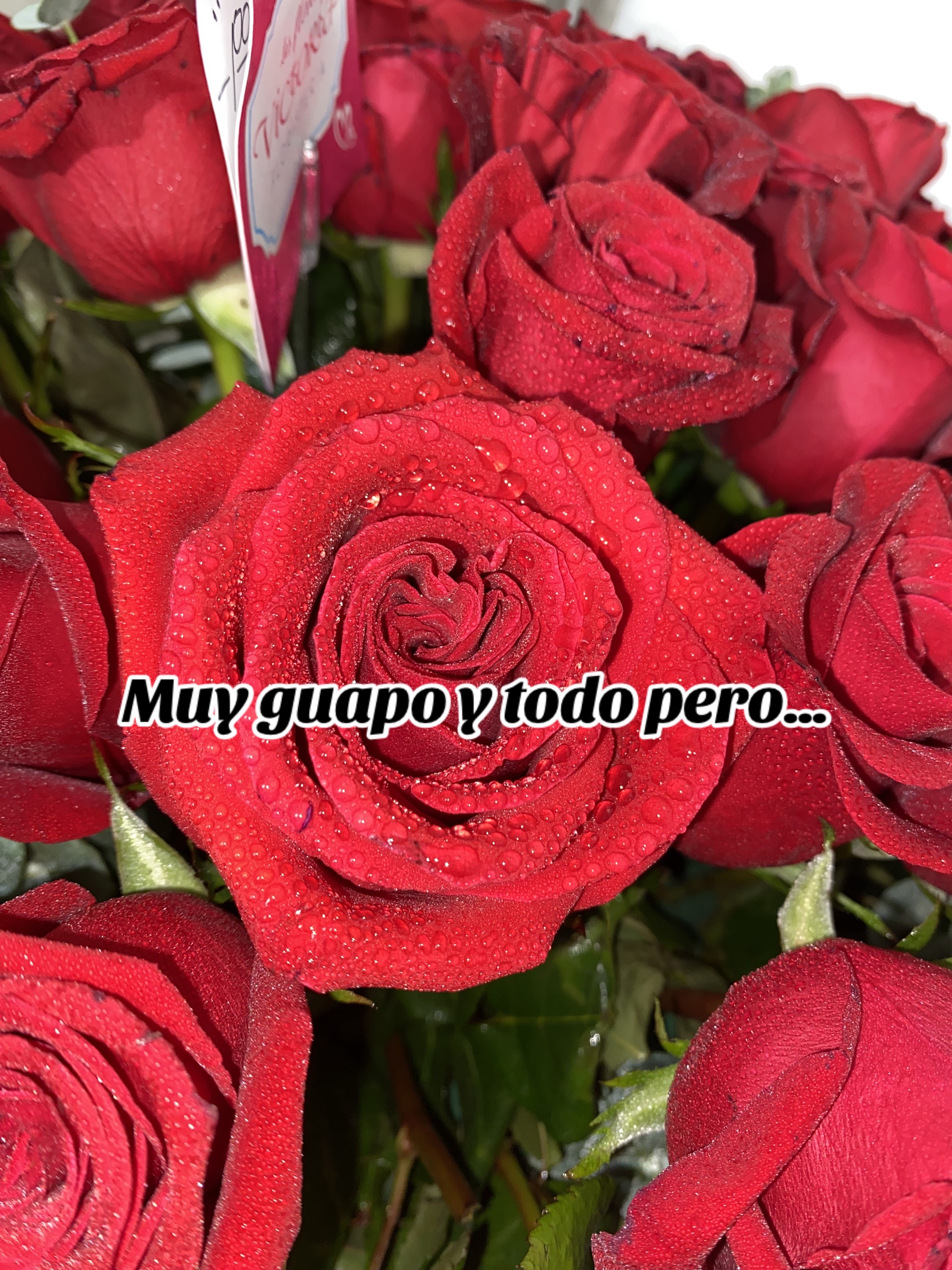 @๐Mavi Estefania ๐