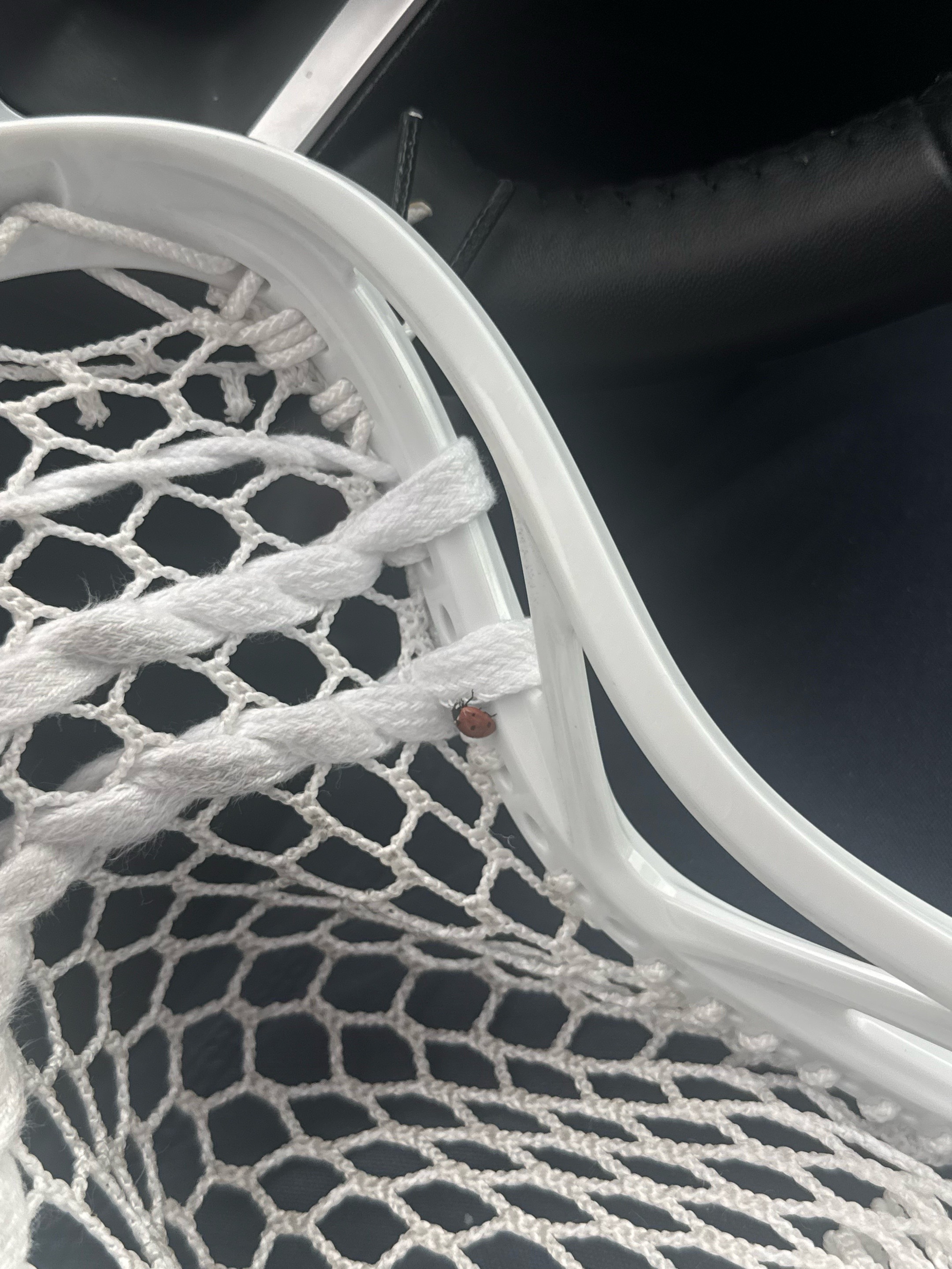 @ECD Lacrosse