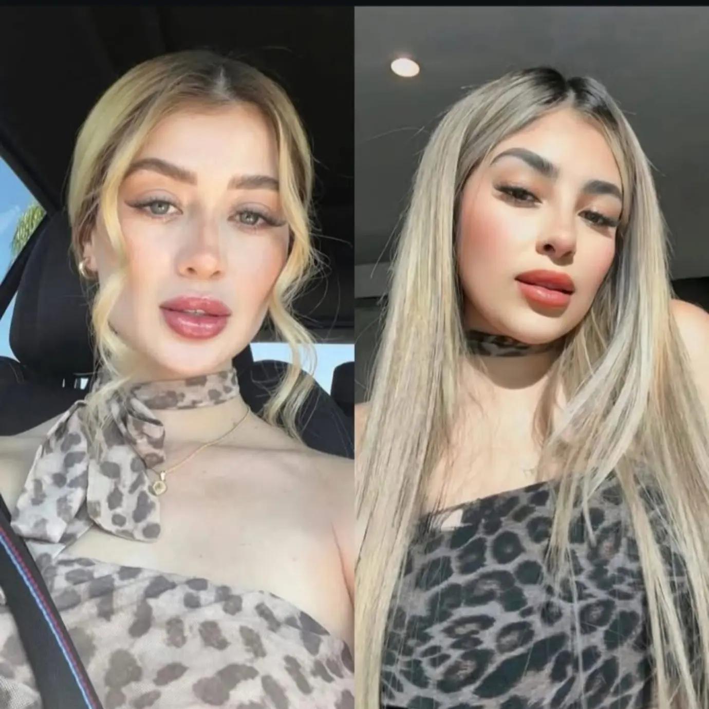 @elysh.611