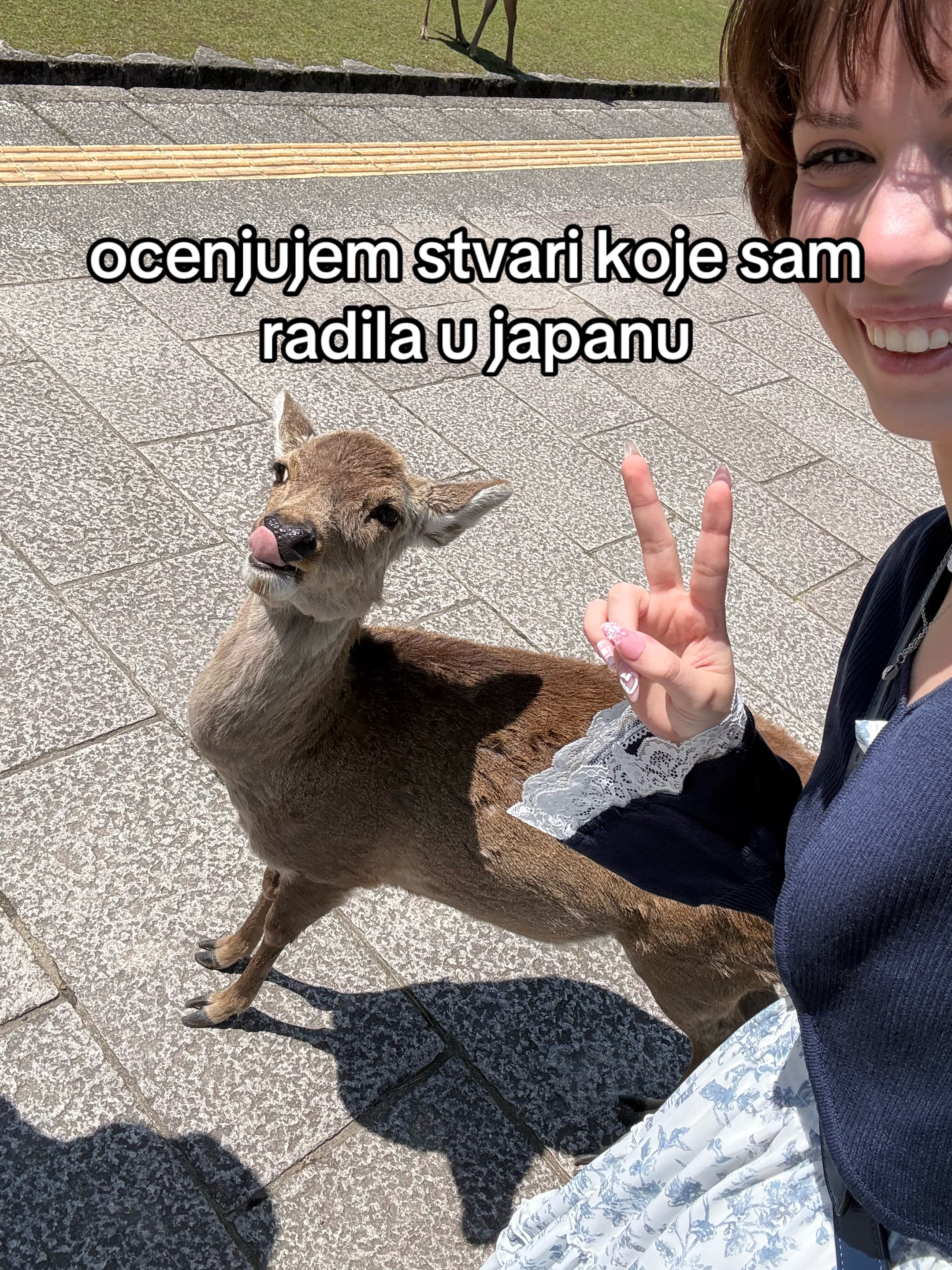 @Dana ☆