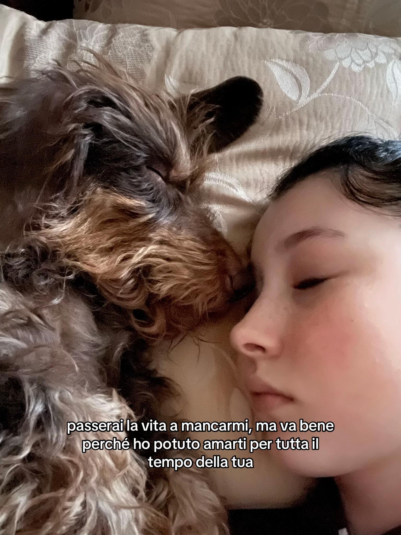 @lisetta