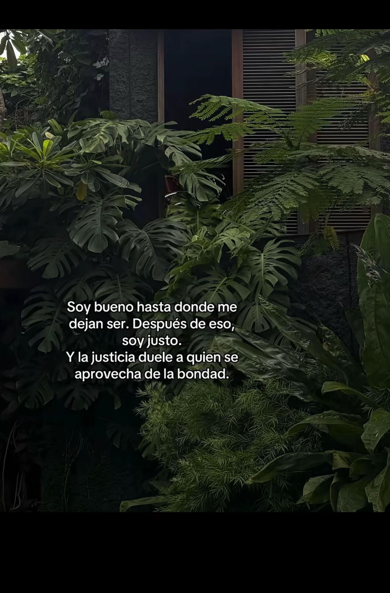 @Gerlin Perez Lopez