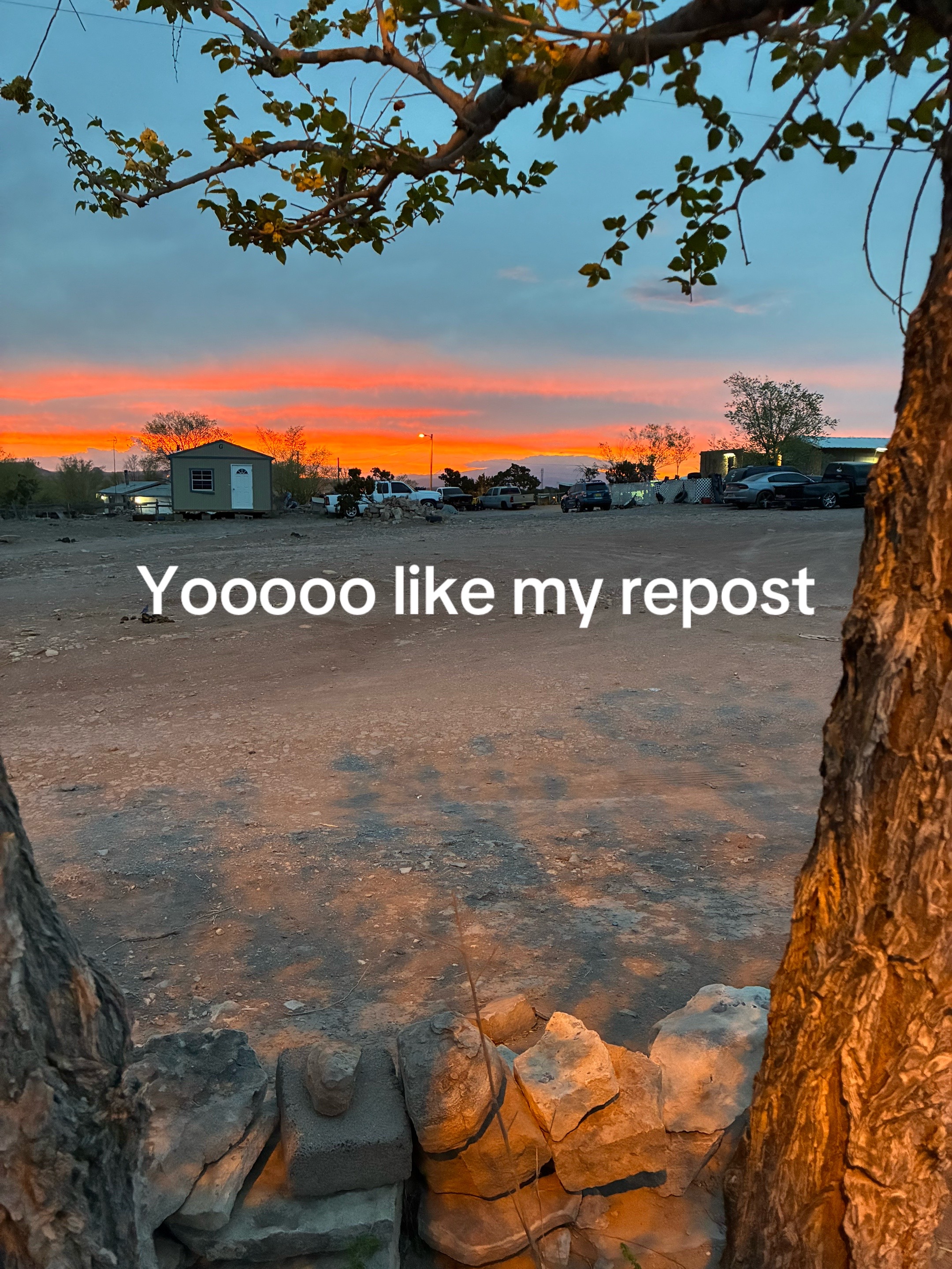 @✝️ ST@R✝️
