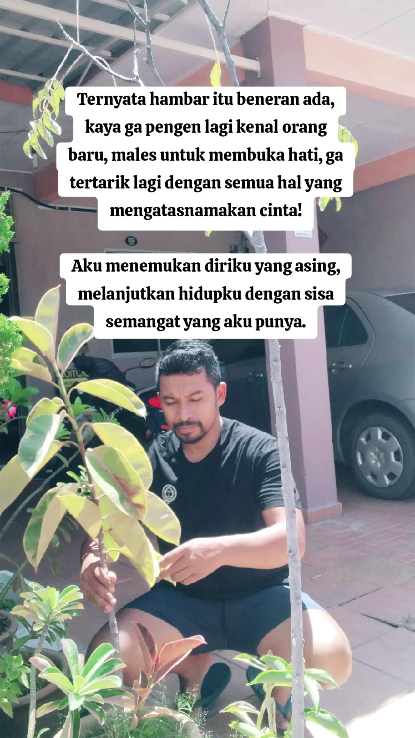 @Kopi sawah