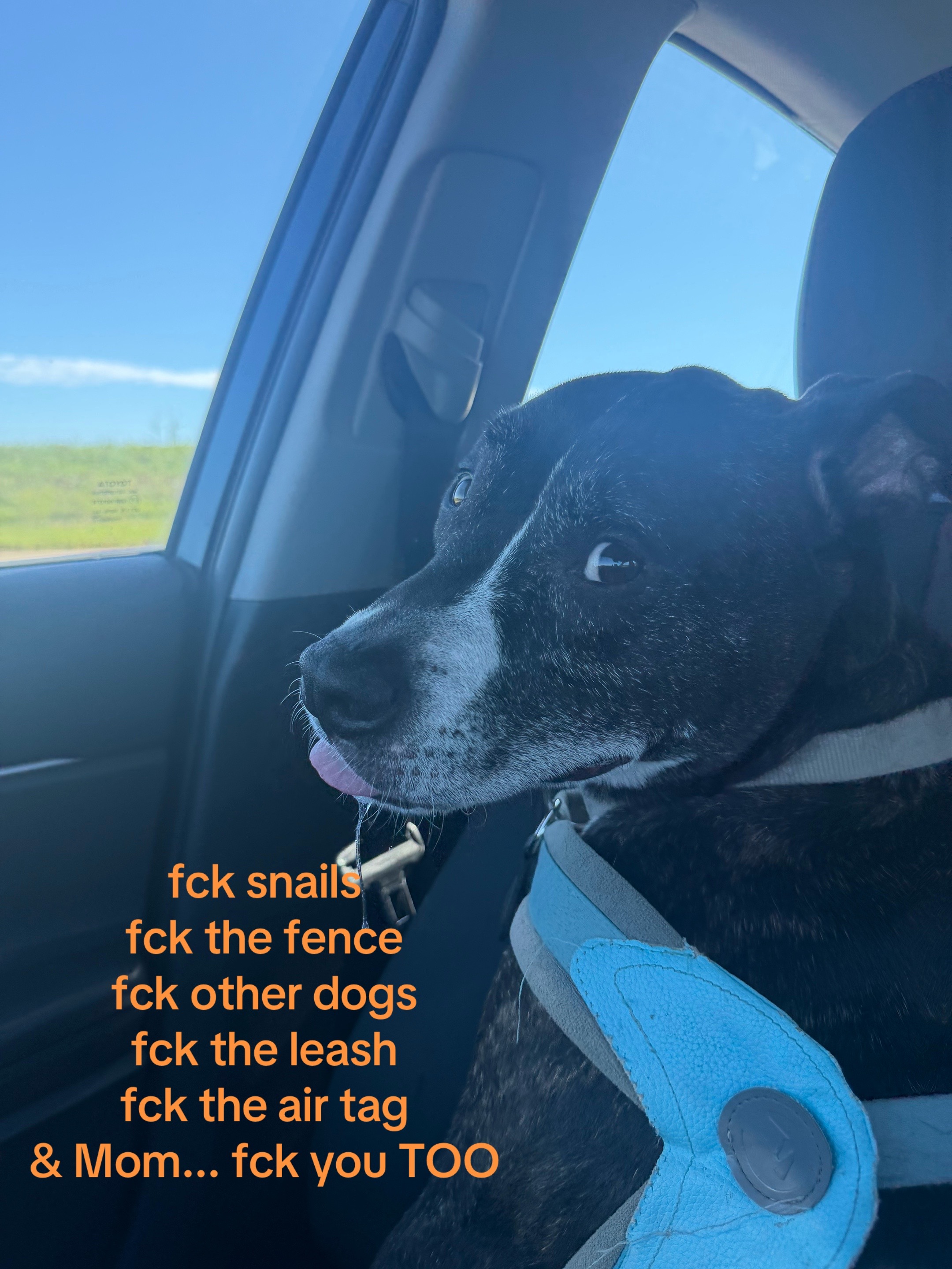 @Ty