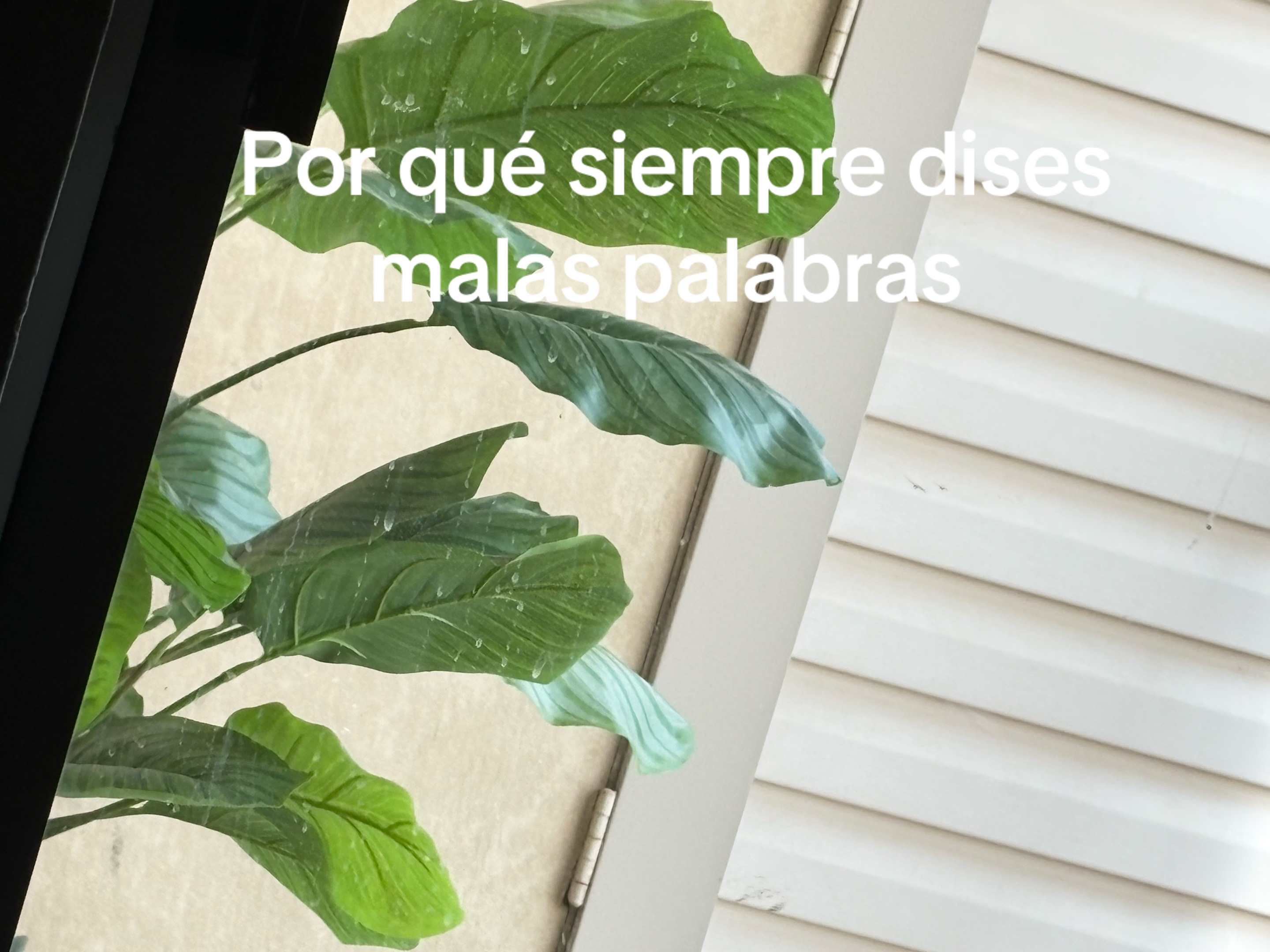 @Elcubanitivr