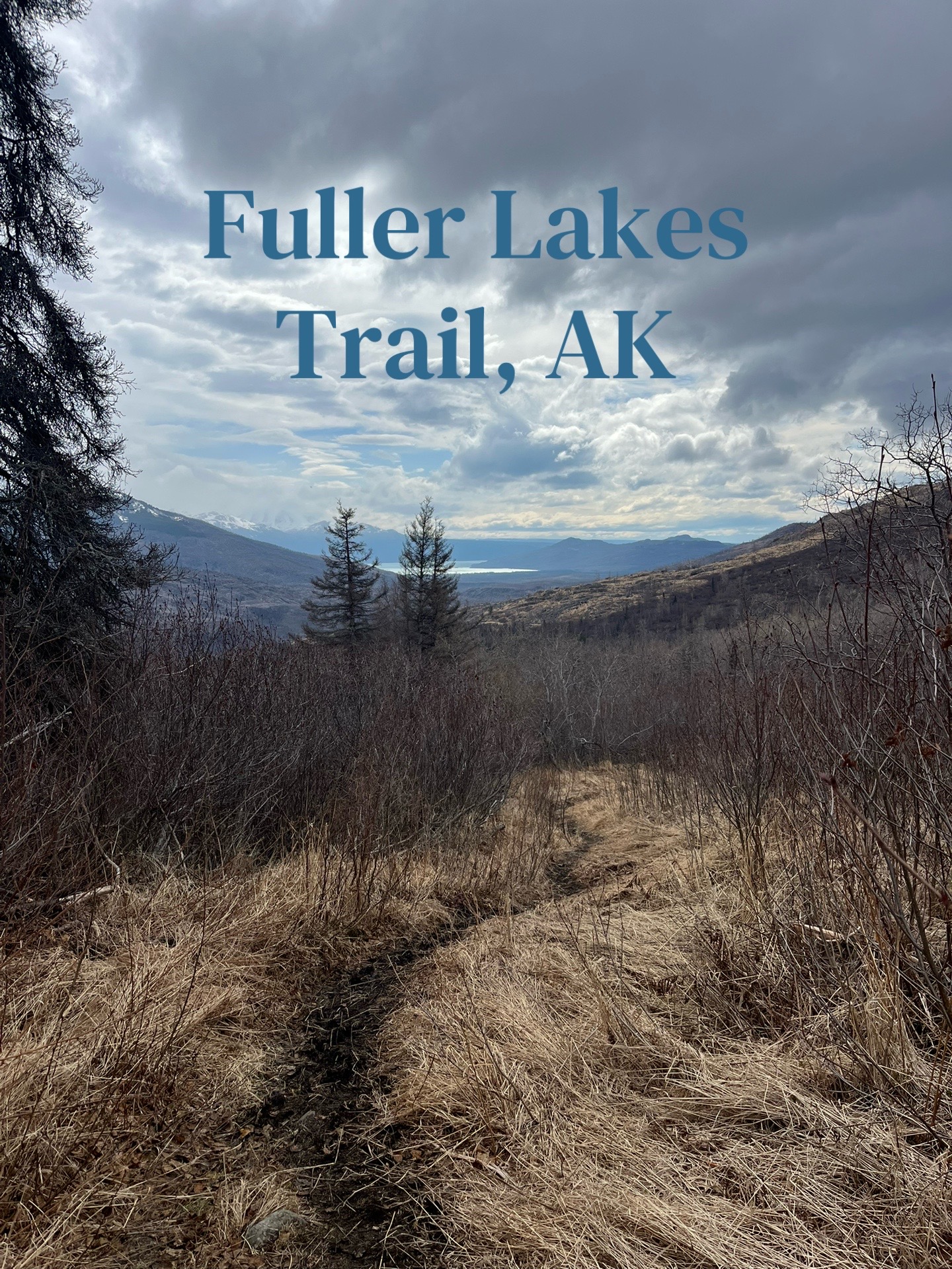 @Chasey Campbell 🏔️🕷️🐾