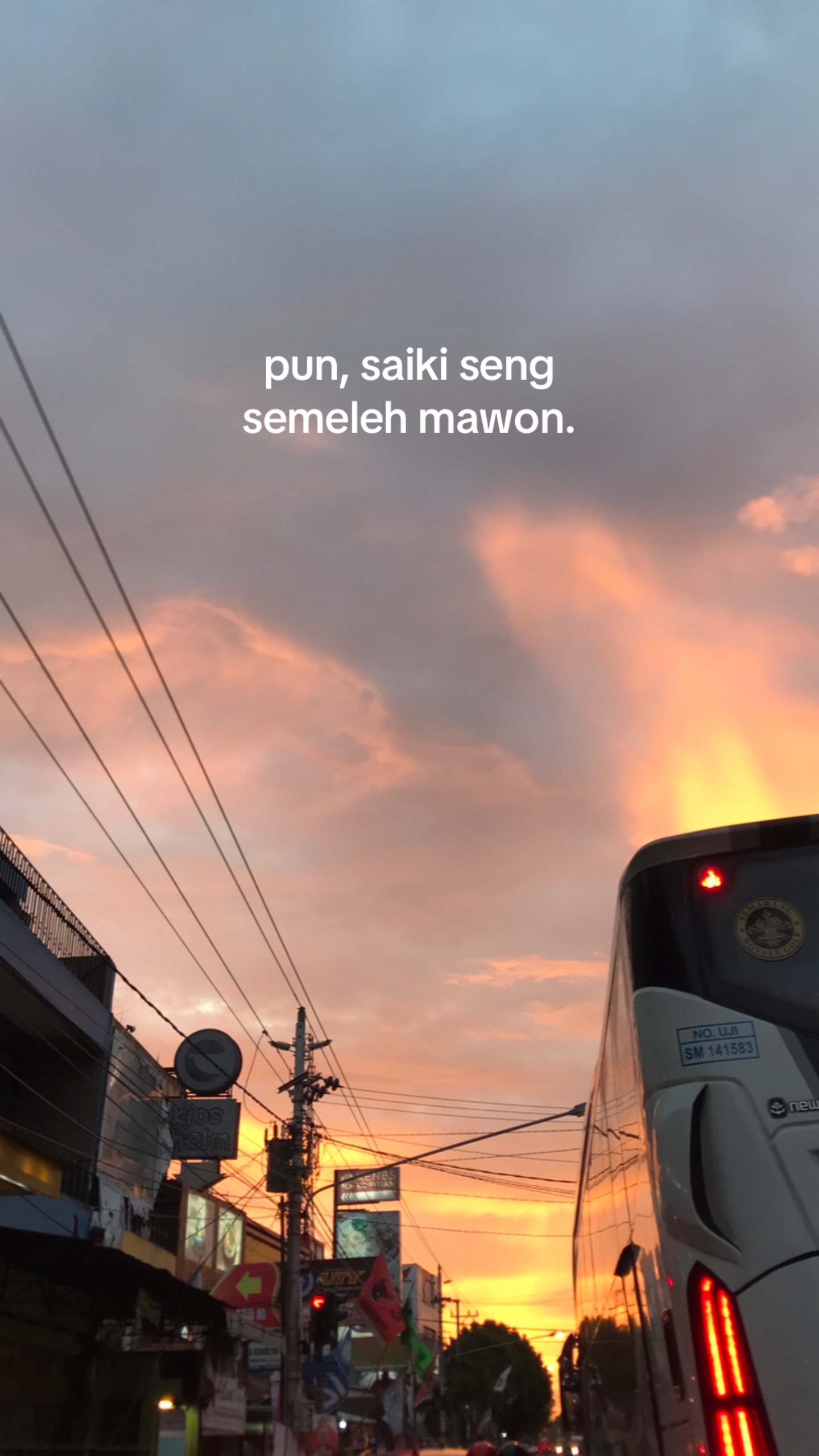 @zal