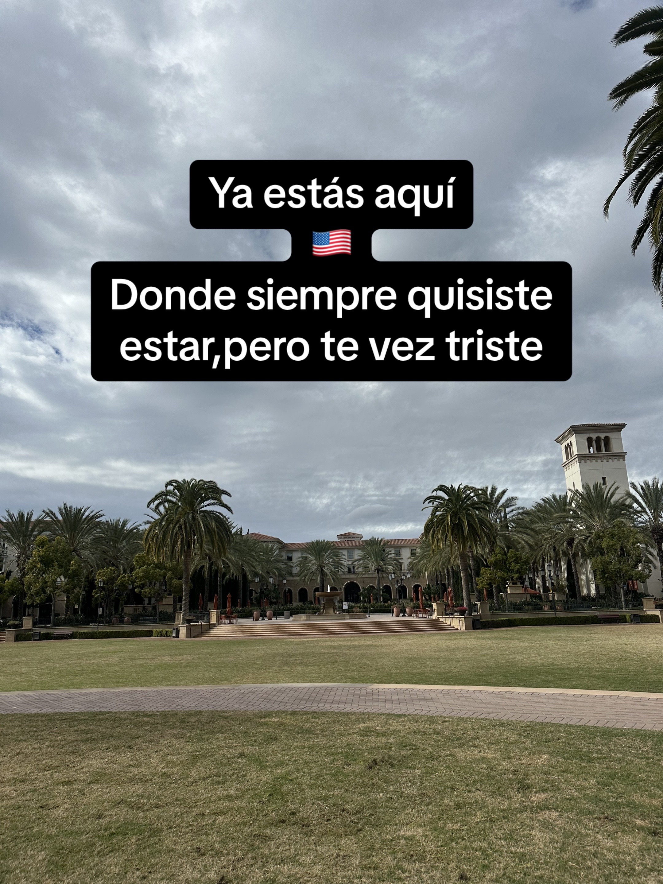 @David Suastegui