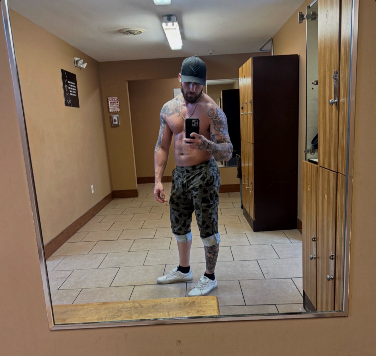 @Phylogeny Reptilia
