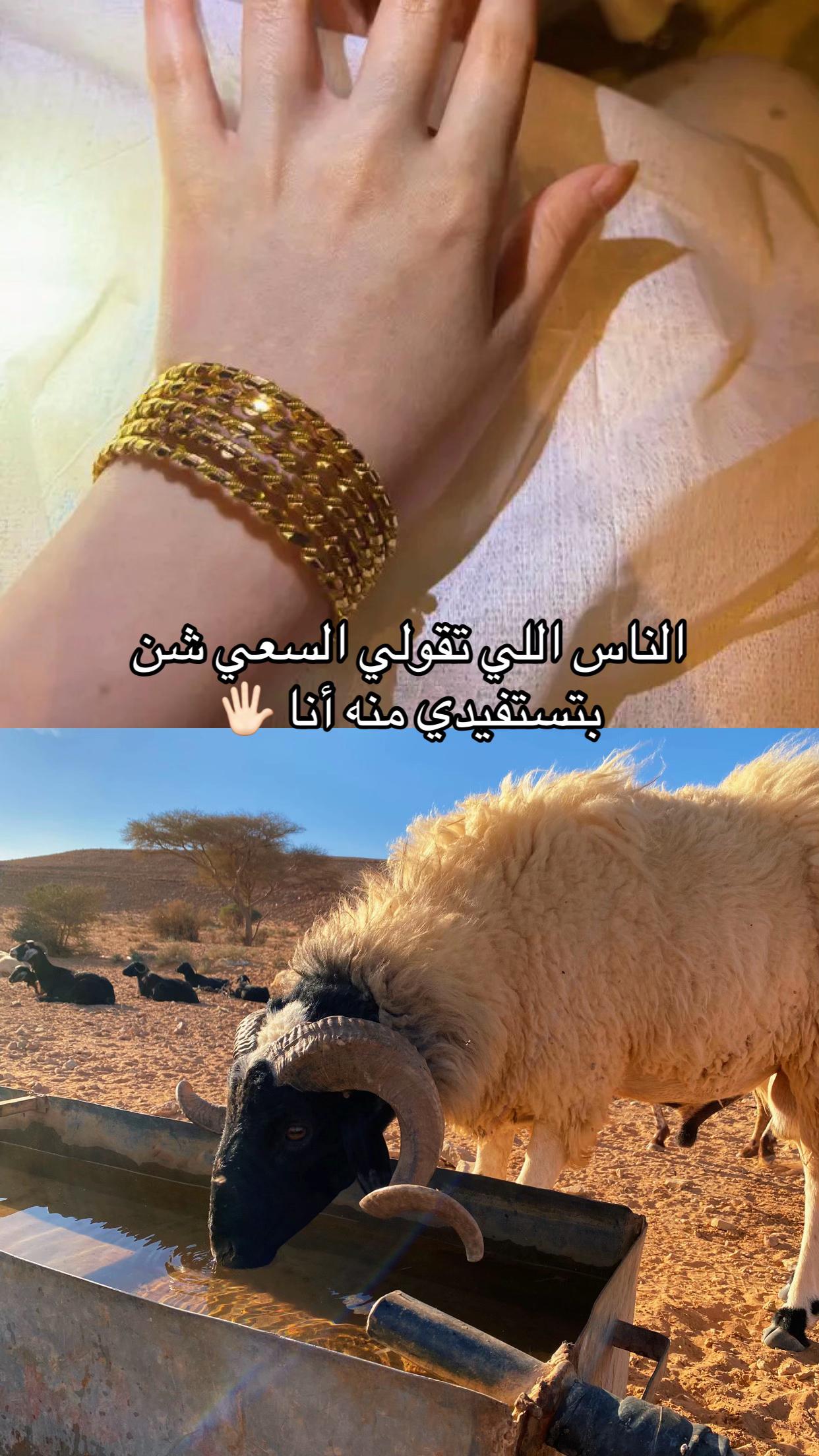 @ 𝓷𝓸𝓯𝓪 || نۨــوُفــا