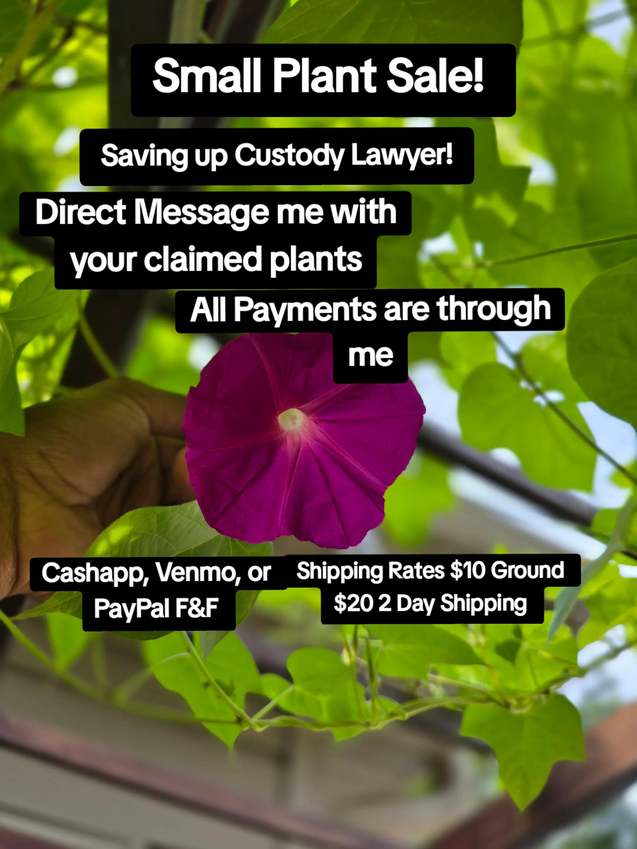 @LecaMagic