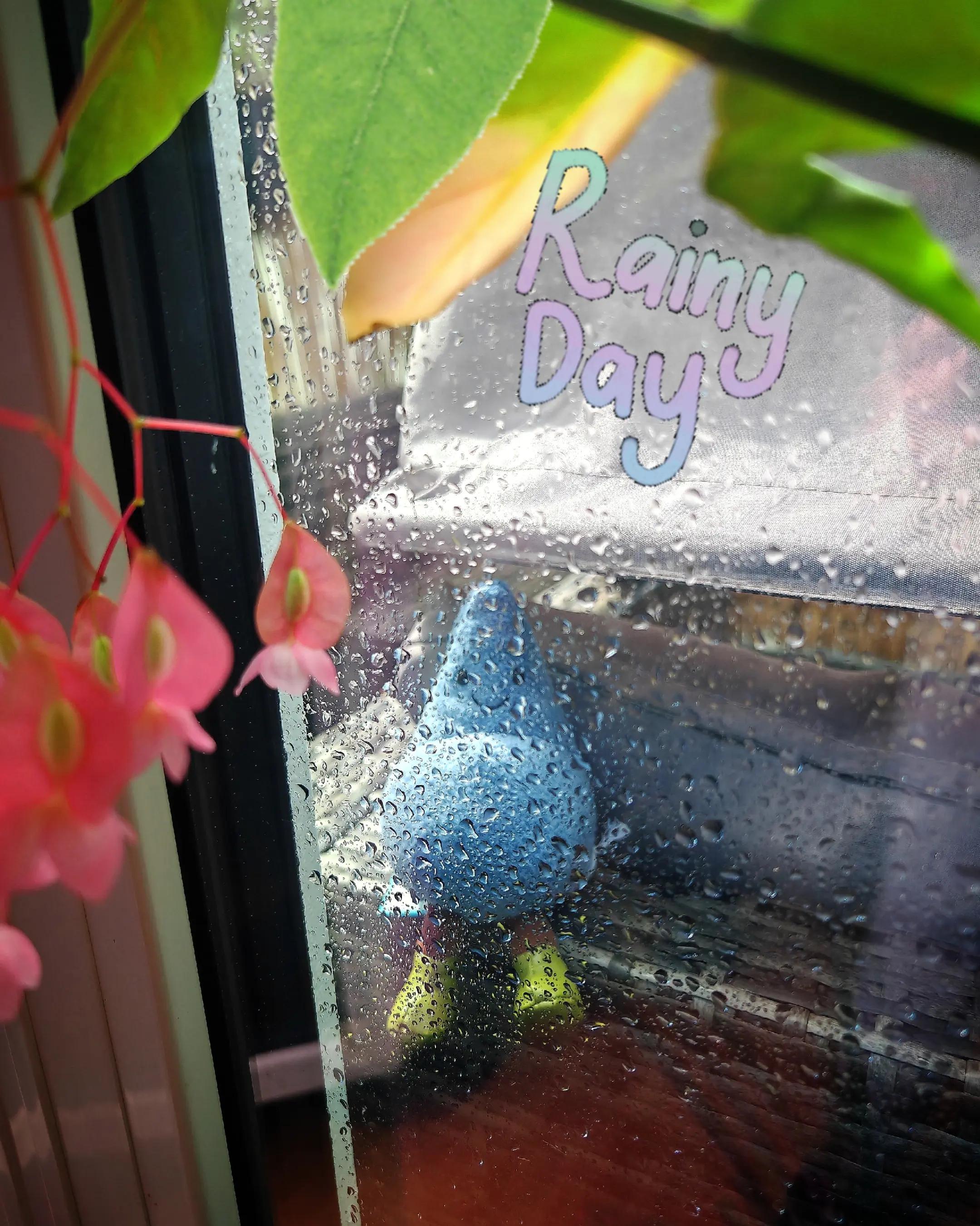 @JellycatDennisBlumengartenK&ouml;ln