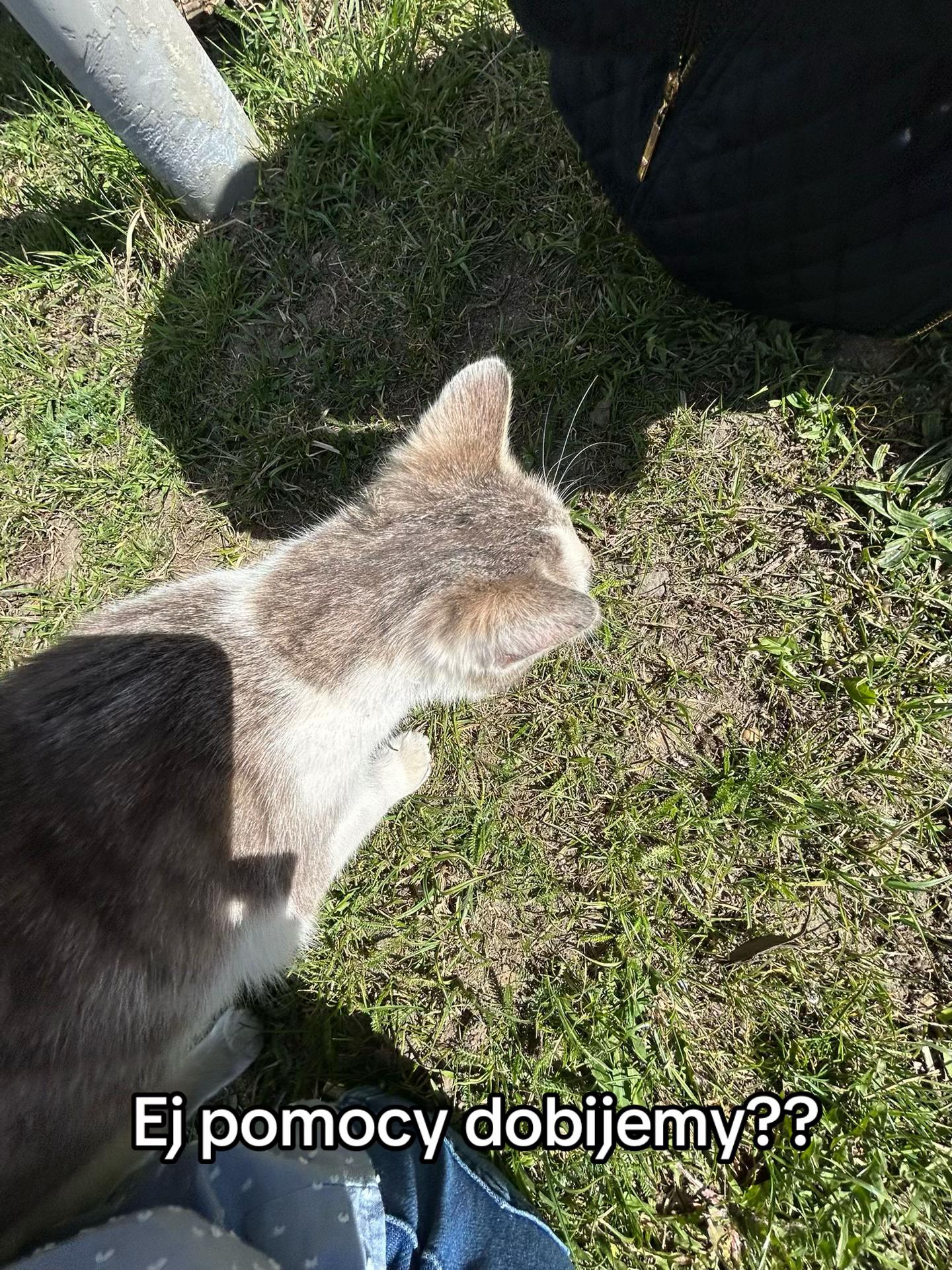 @ð!!(ðð¶ð¿ðžððŸ'ð ððŸð»â¯ïŒ