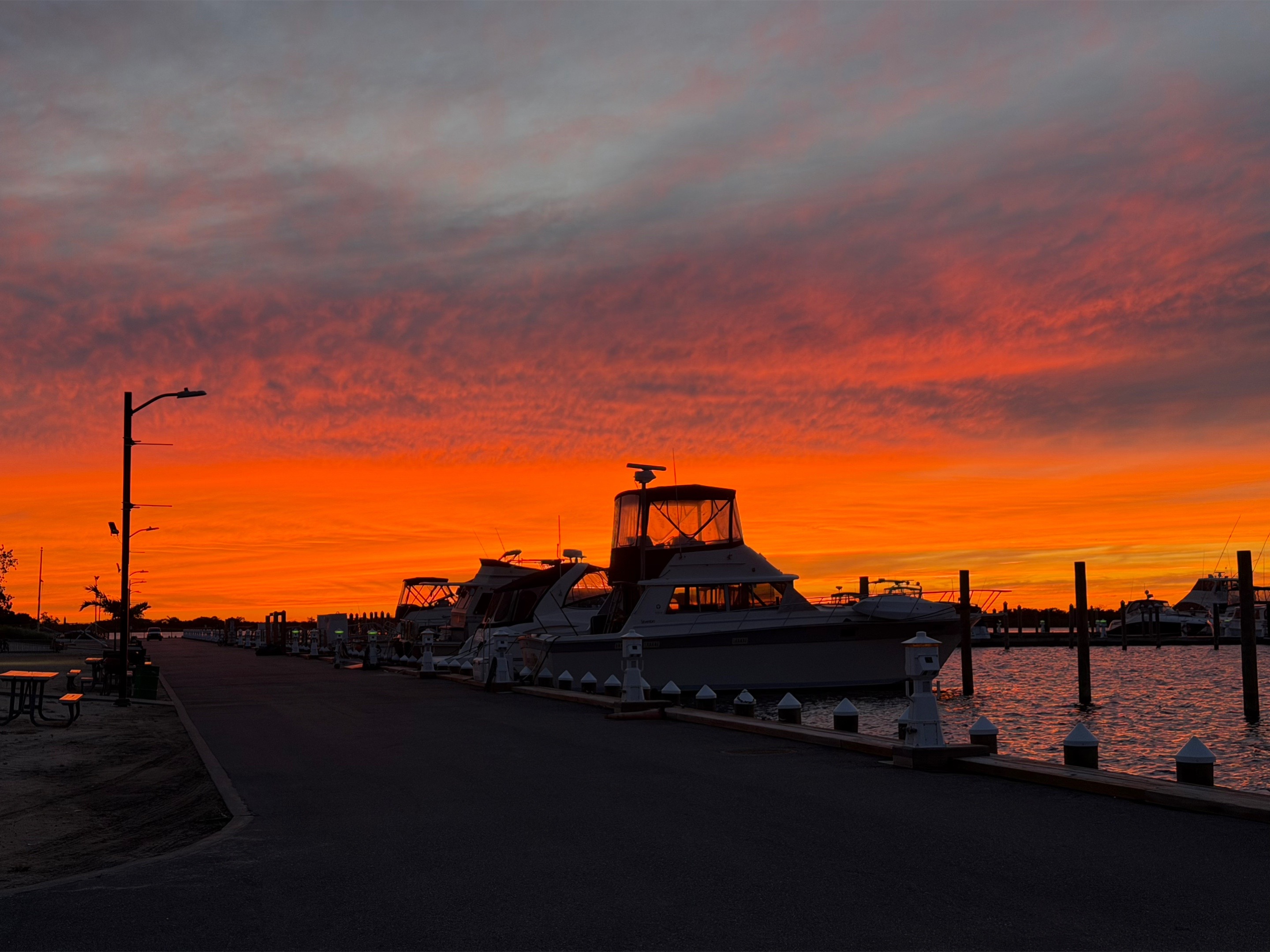 @jenniferimpellizzieri