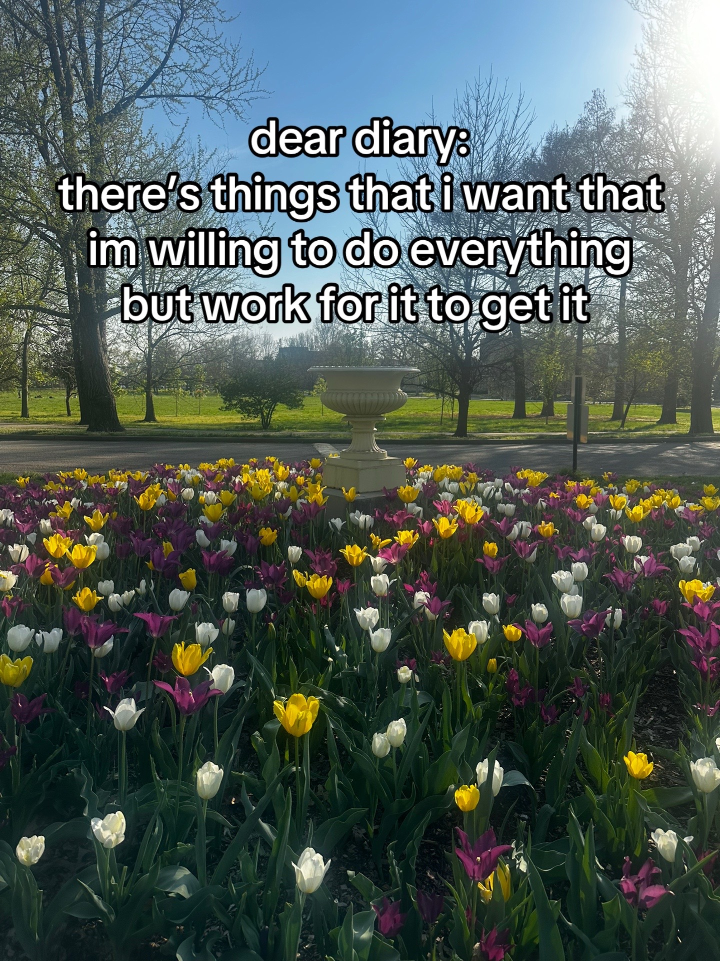 @deardiarydigital