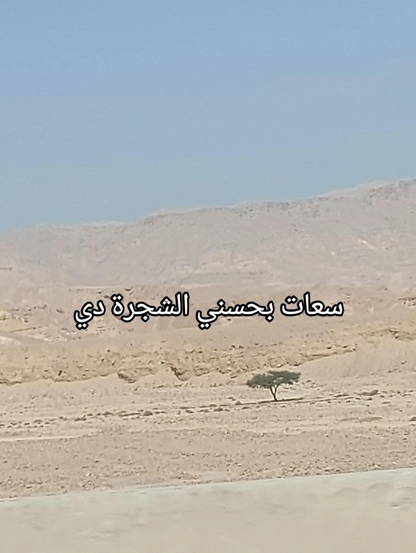 @قطر الندم