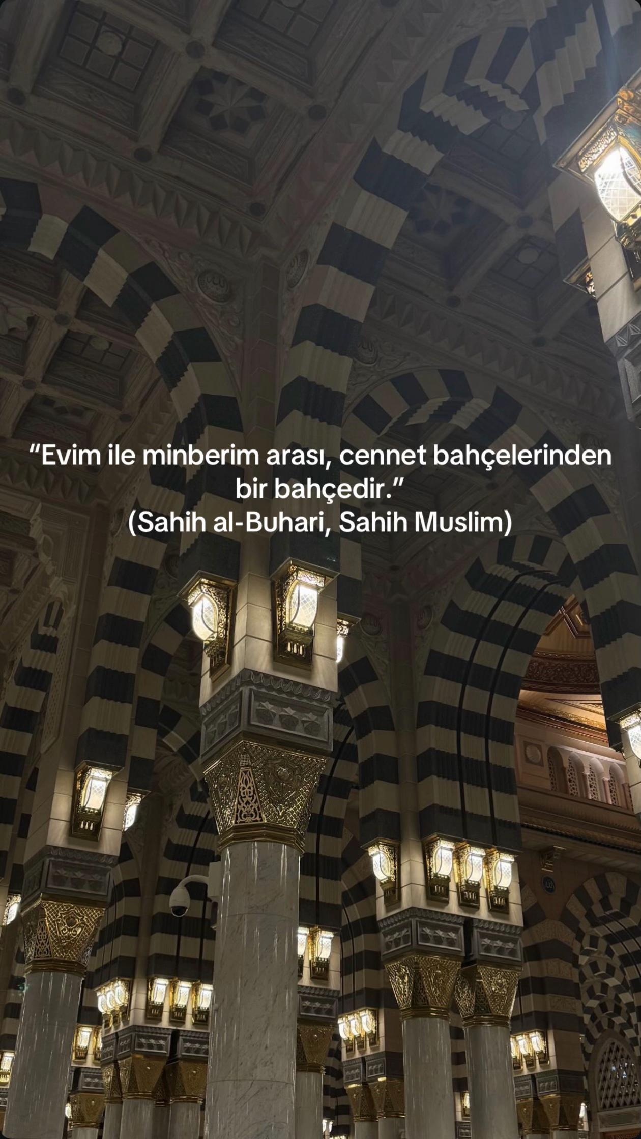 @Noour al Aisha | Rahle Turizm