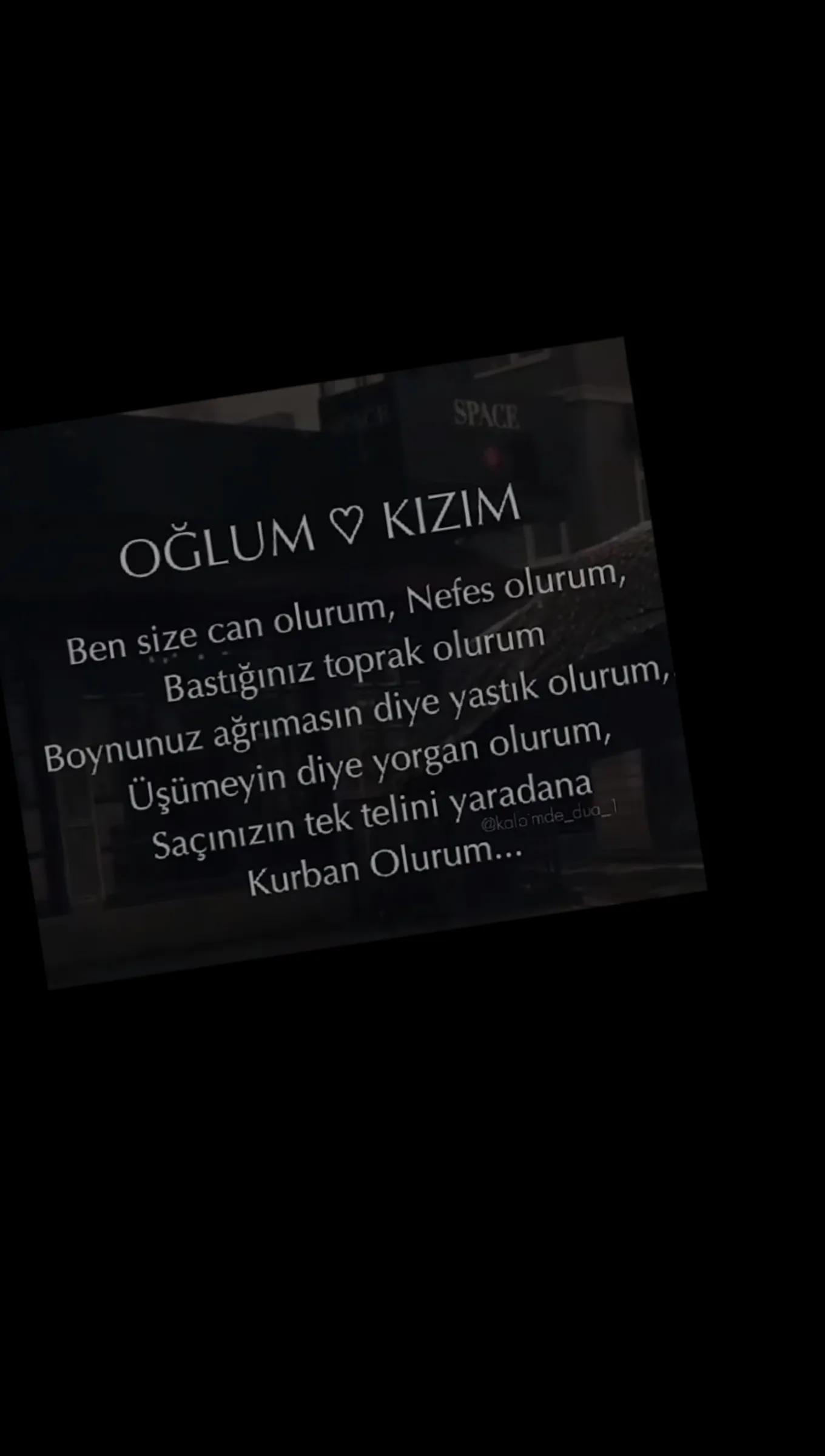 @papatya