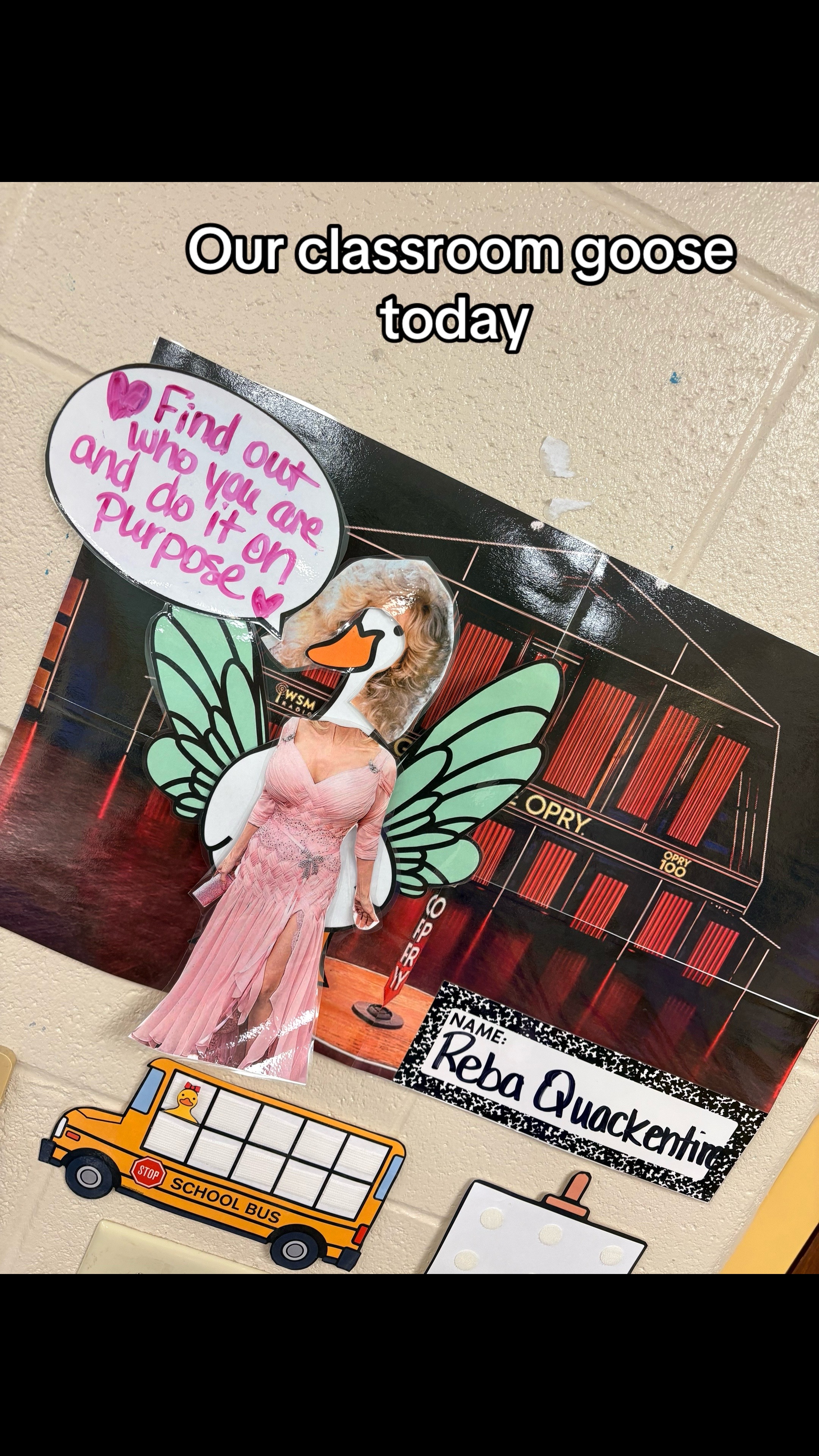 @✨🛍️🎢📚Jess Finds Fun☕️✈️🏰✨