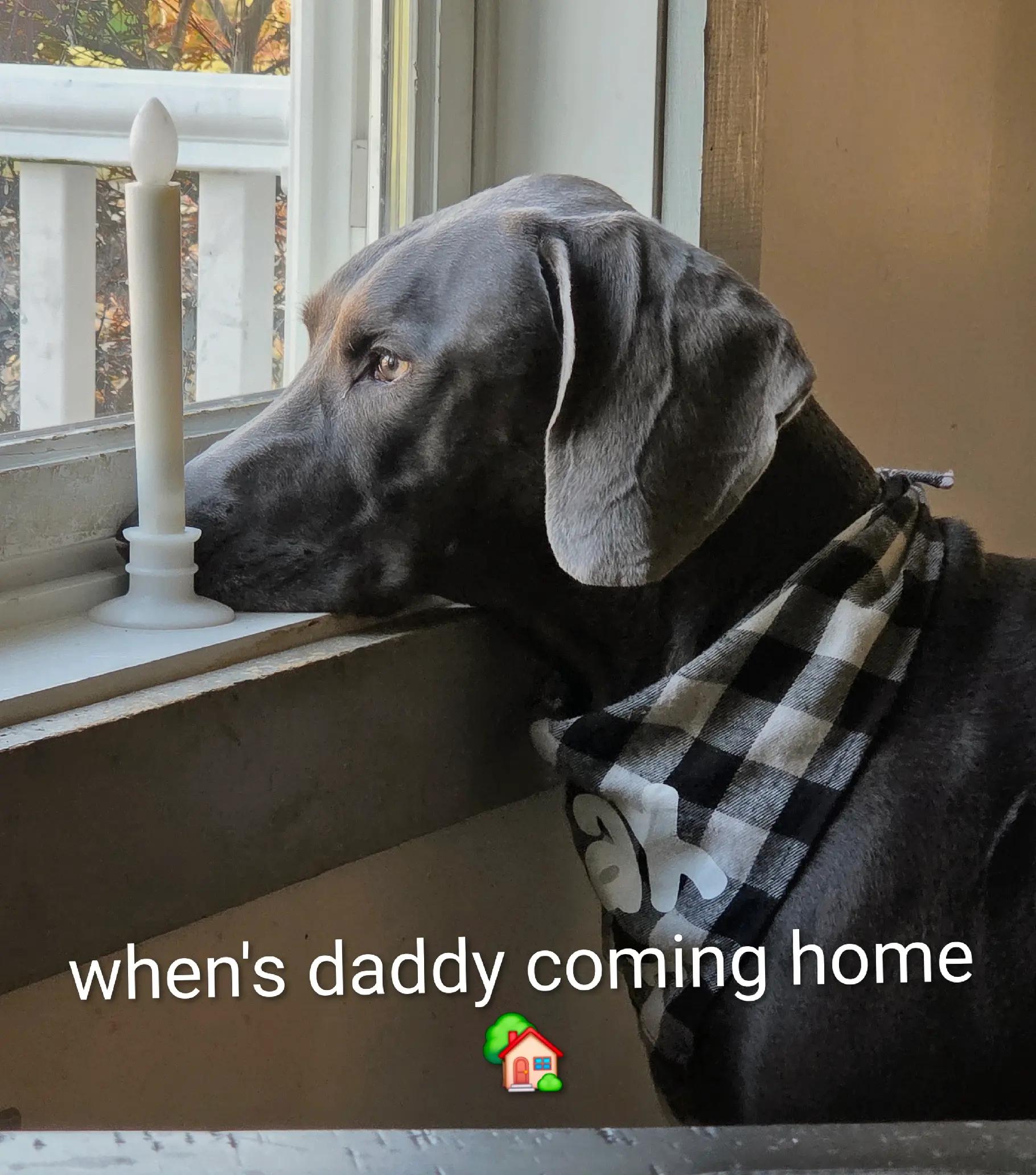 @sandyandjax437
