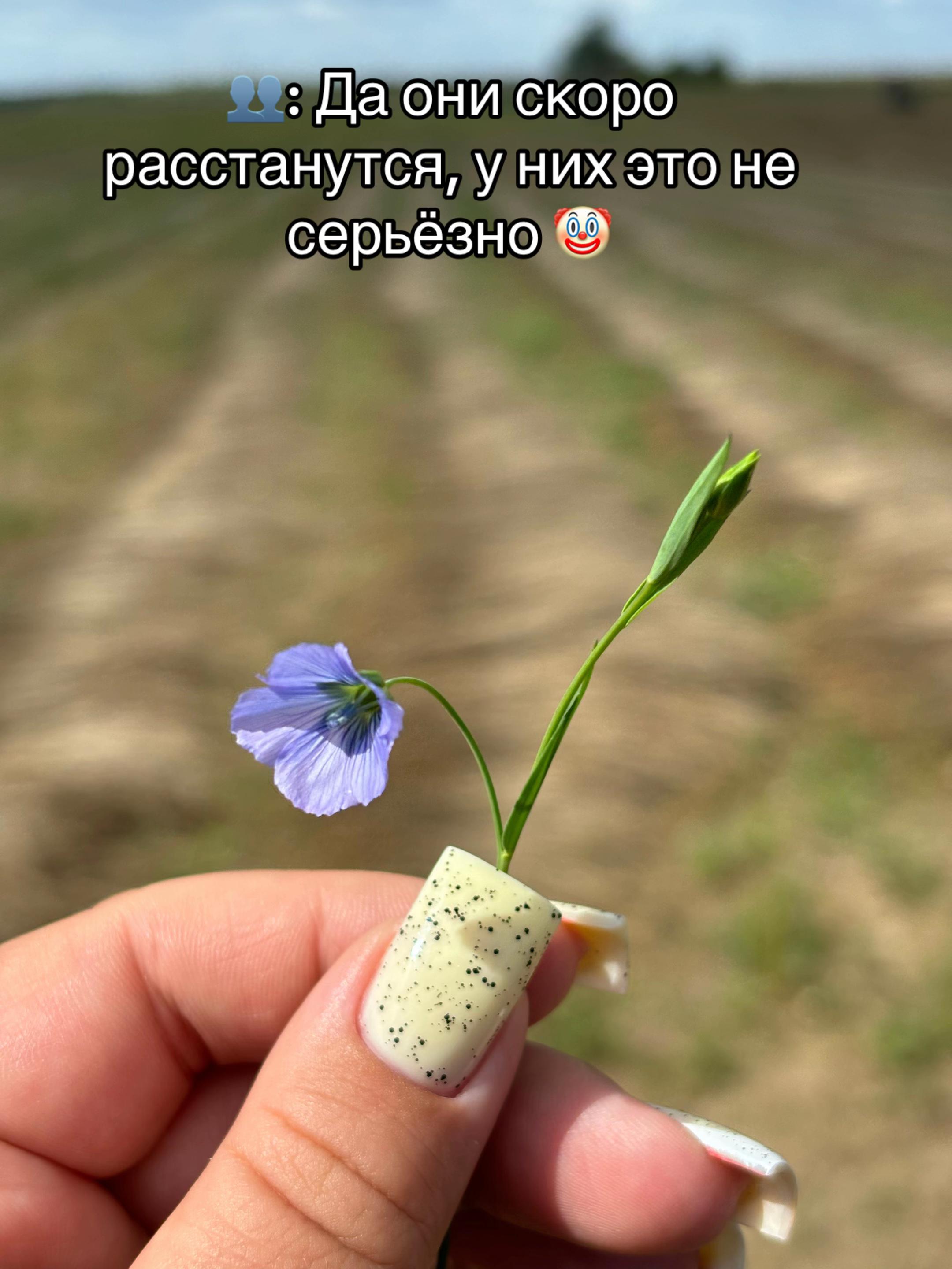 @AgroWoman 👩🏻🌾💚