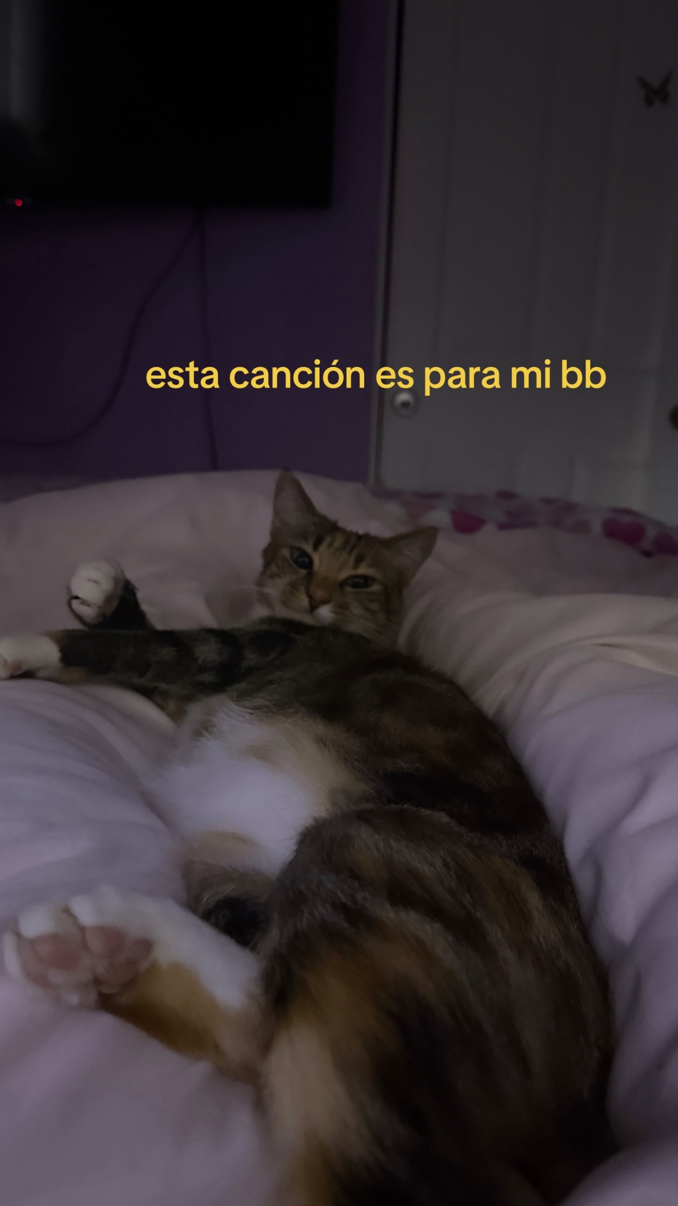 @diana